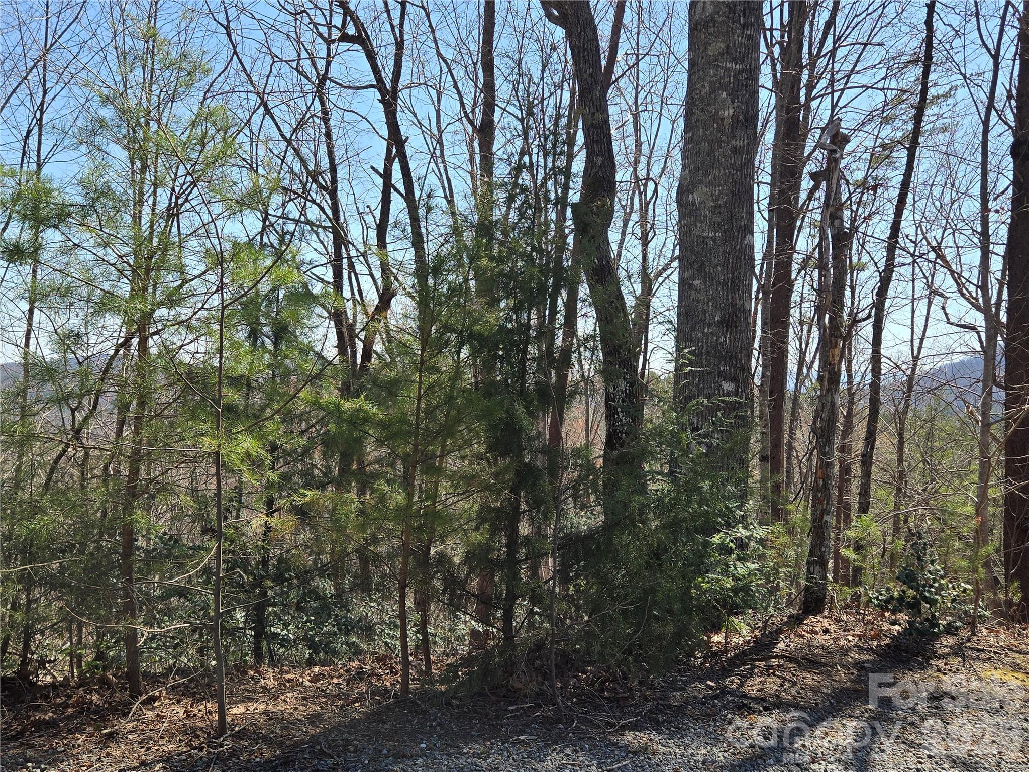 Lot 57 Banjo Court Property Photo 11