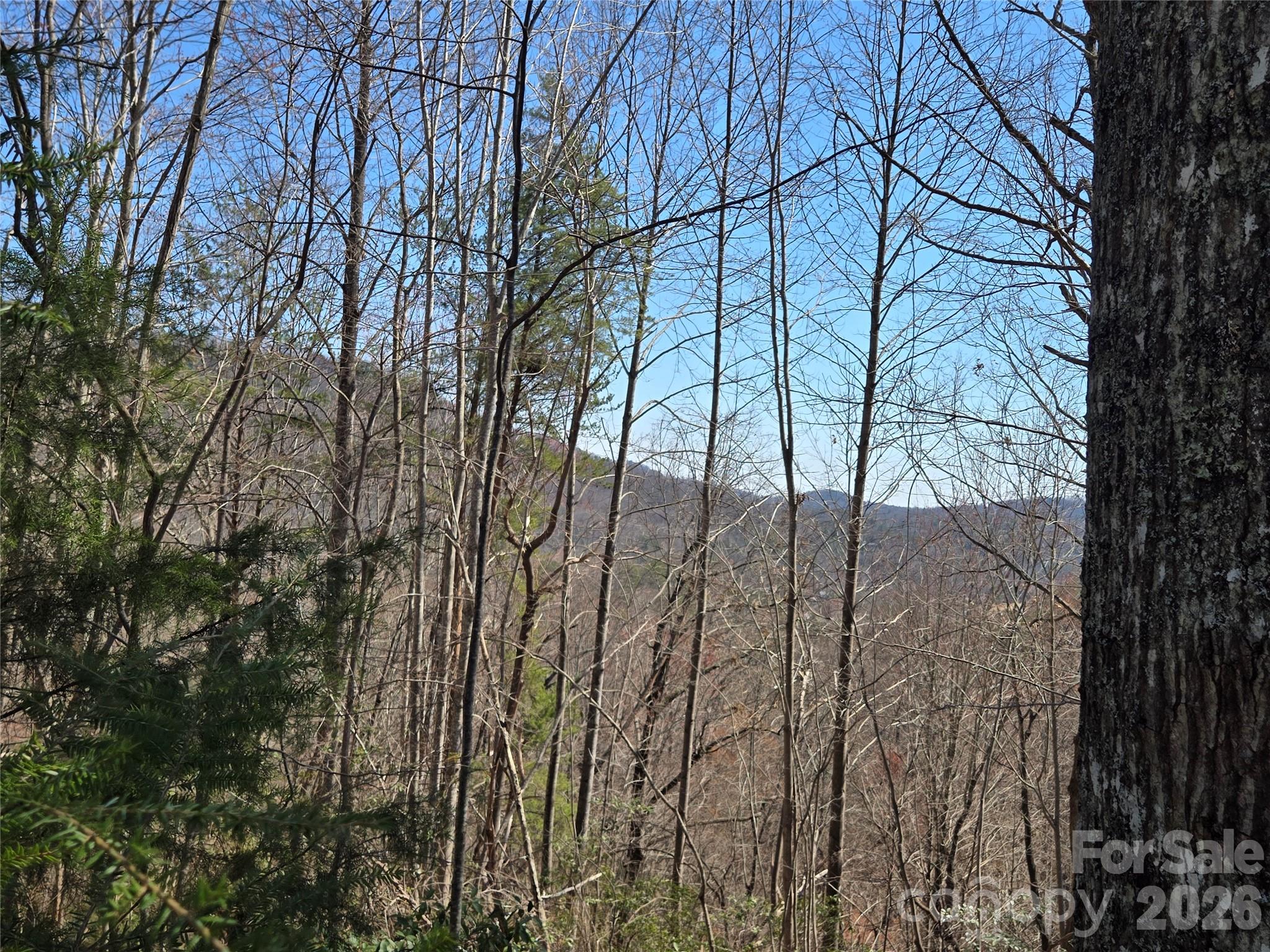 Lot 57 Banjo Court Property Photo 12