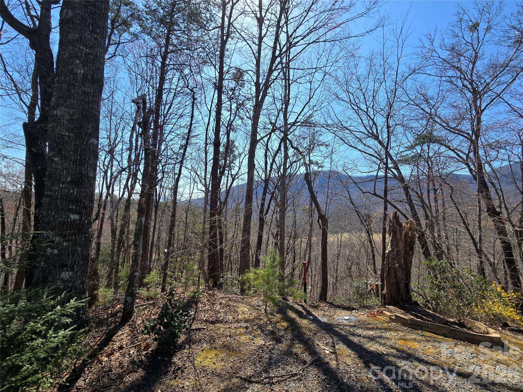 Lot 57 Banjo Court Property Photo 13