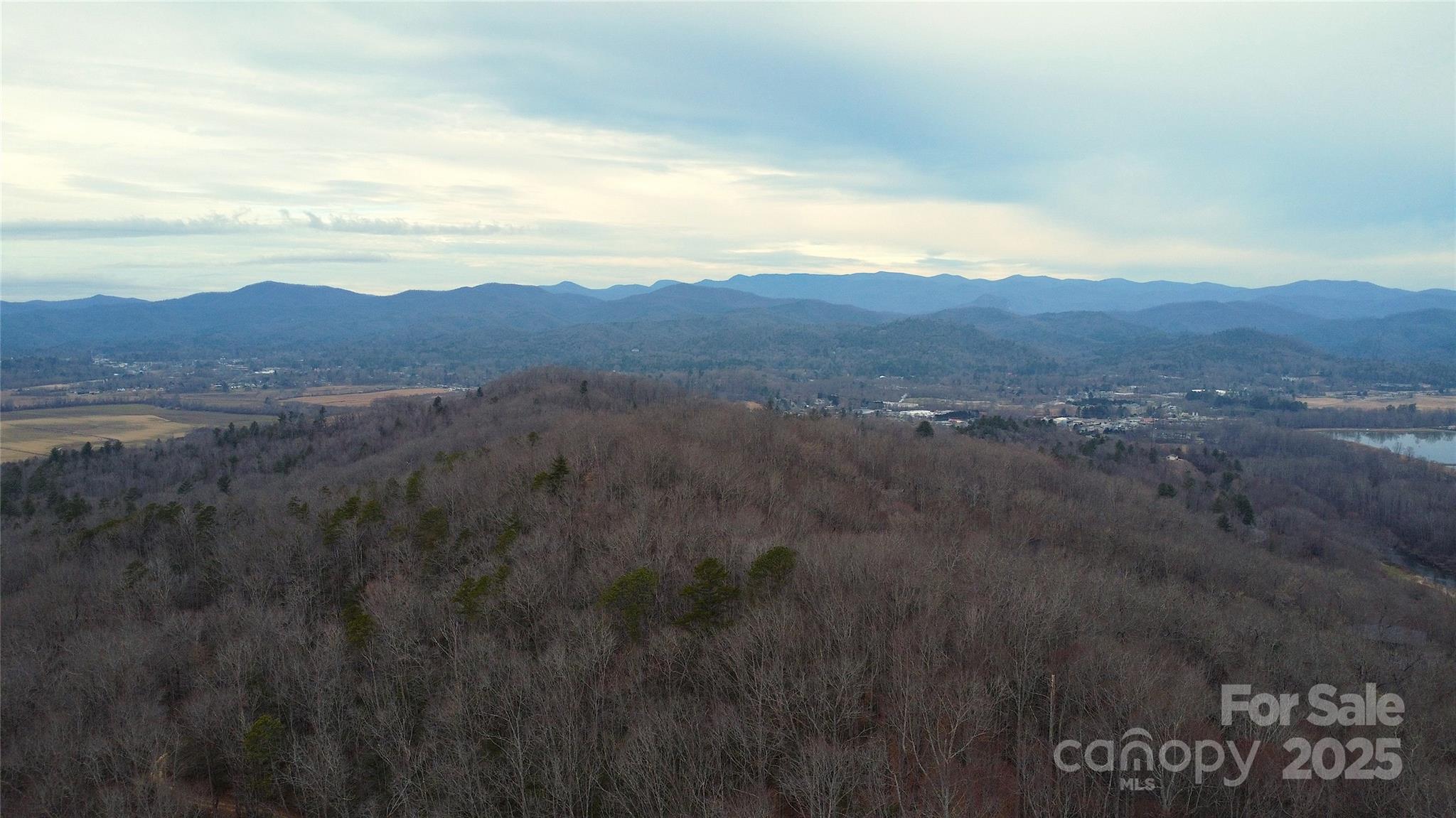 Pisgah Forest Real Estate Listings Main Image