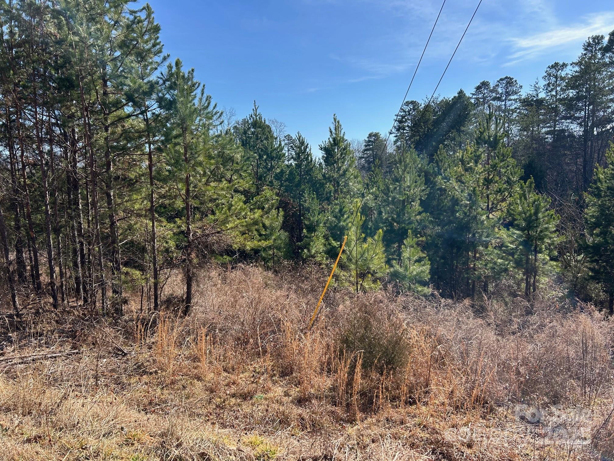 670 Talley Road Property Photo 2