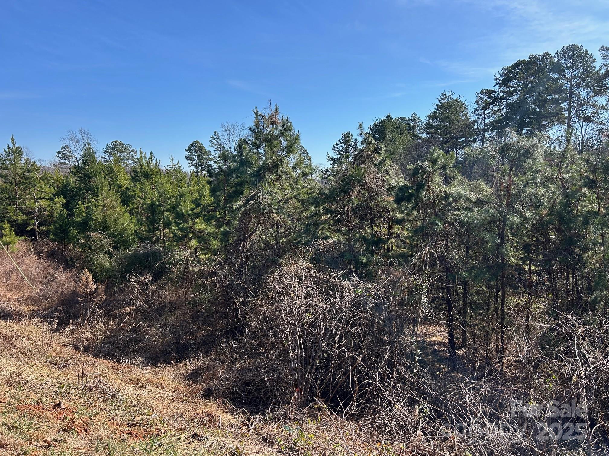670 Talley Road Property Photo 3