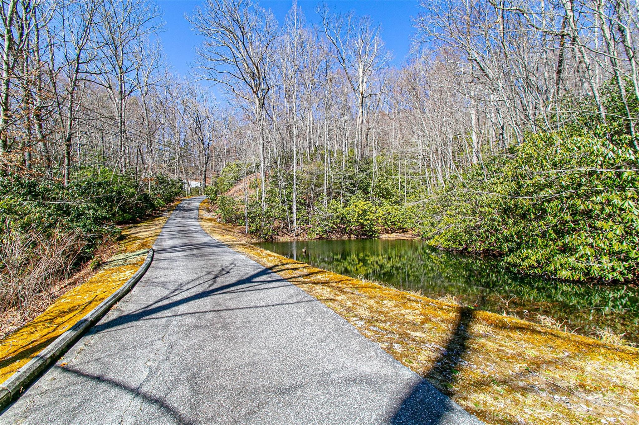 Tbd Still Branch Road L20 Property Photo 1