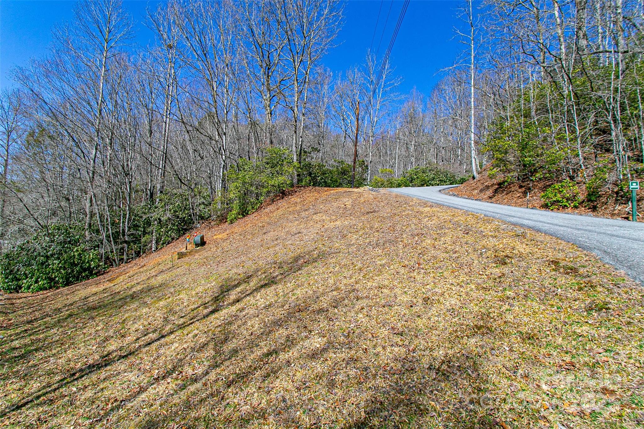 Tbd Still Branch Road L20 Property Photo 2