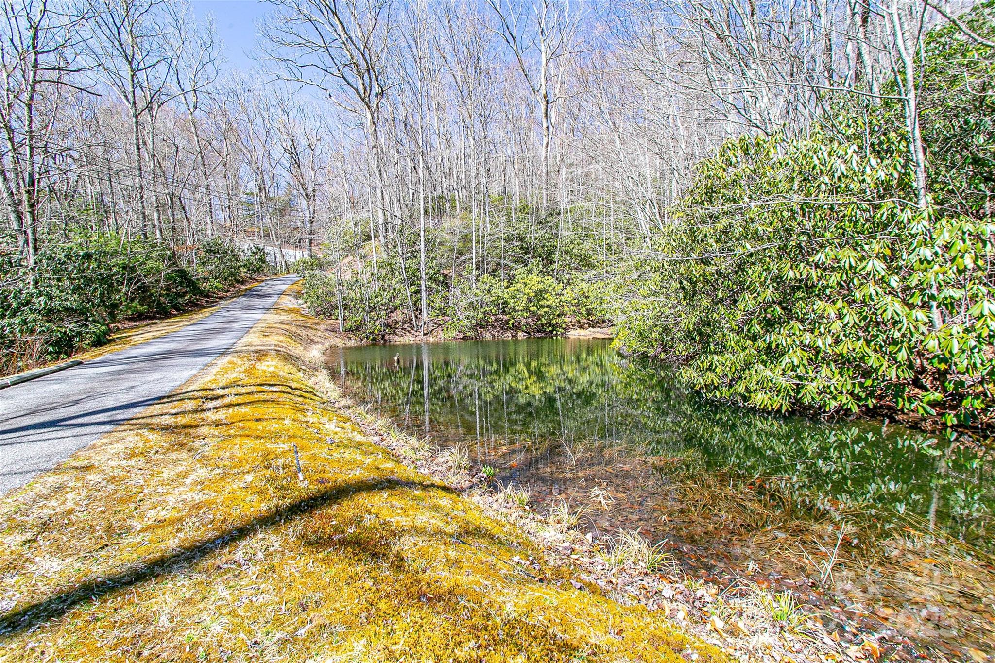 Tbd Still Branch Road L20 Property Photo 3