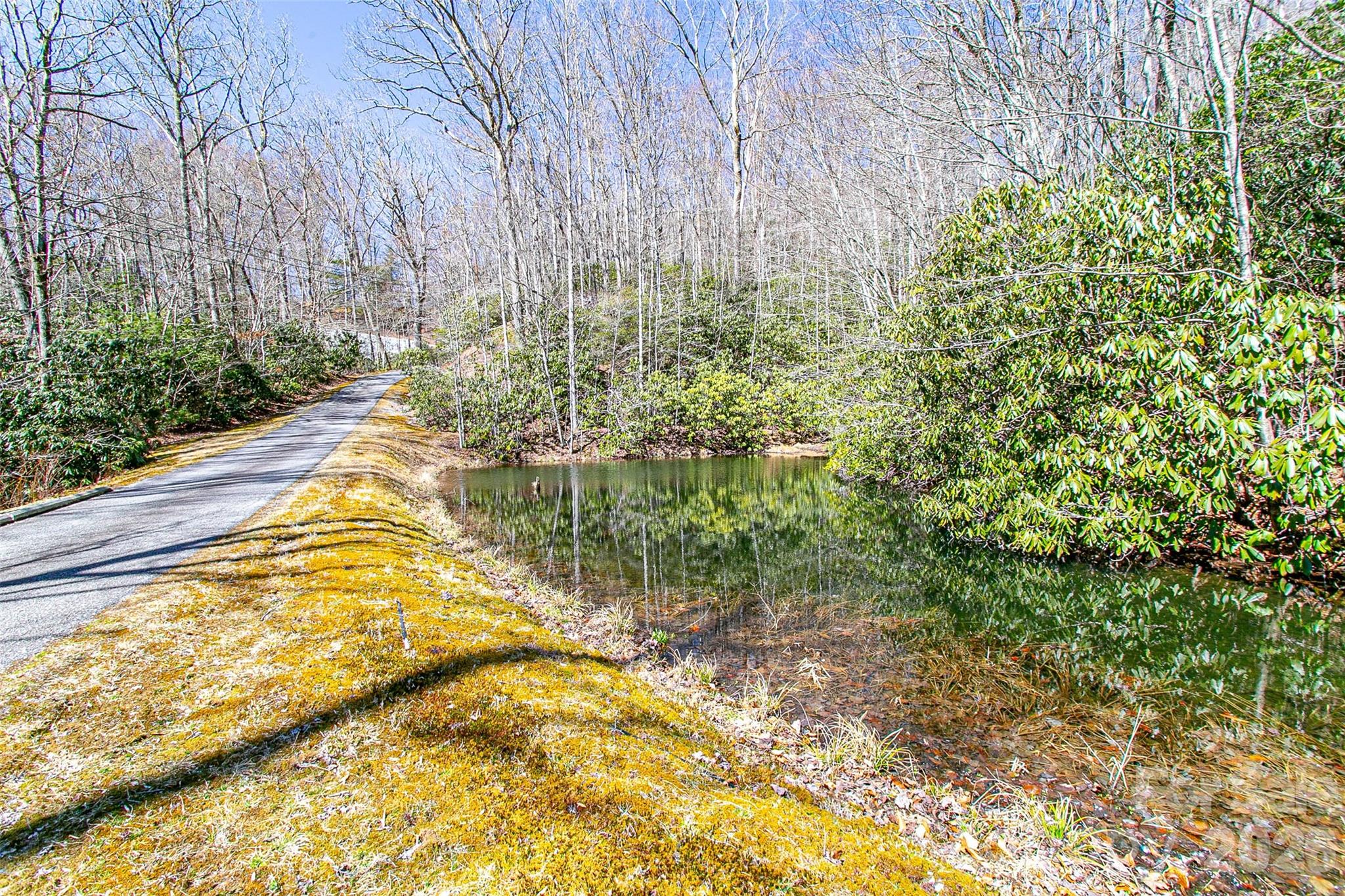 Tbd Still Branch Road L20 Property Photo 3