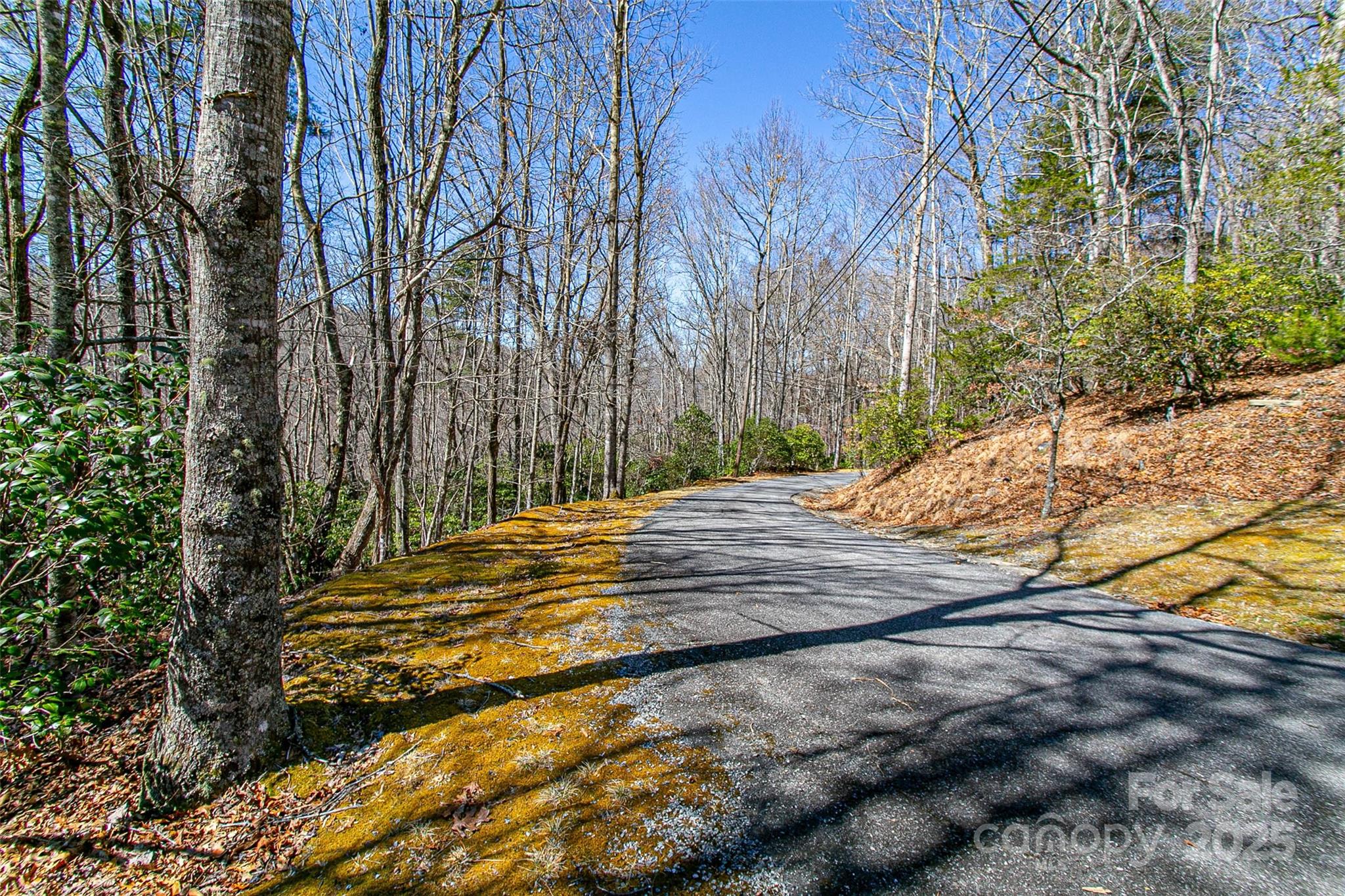Tbd Still Branch Road L20 Property Photo 11