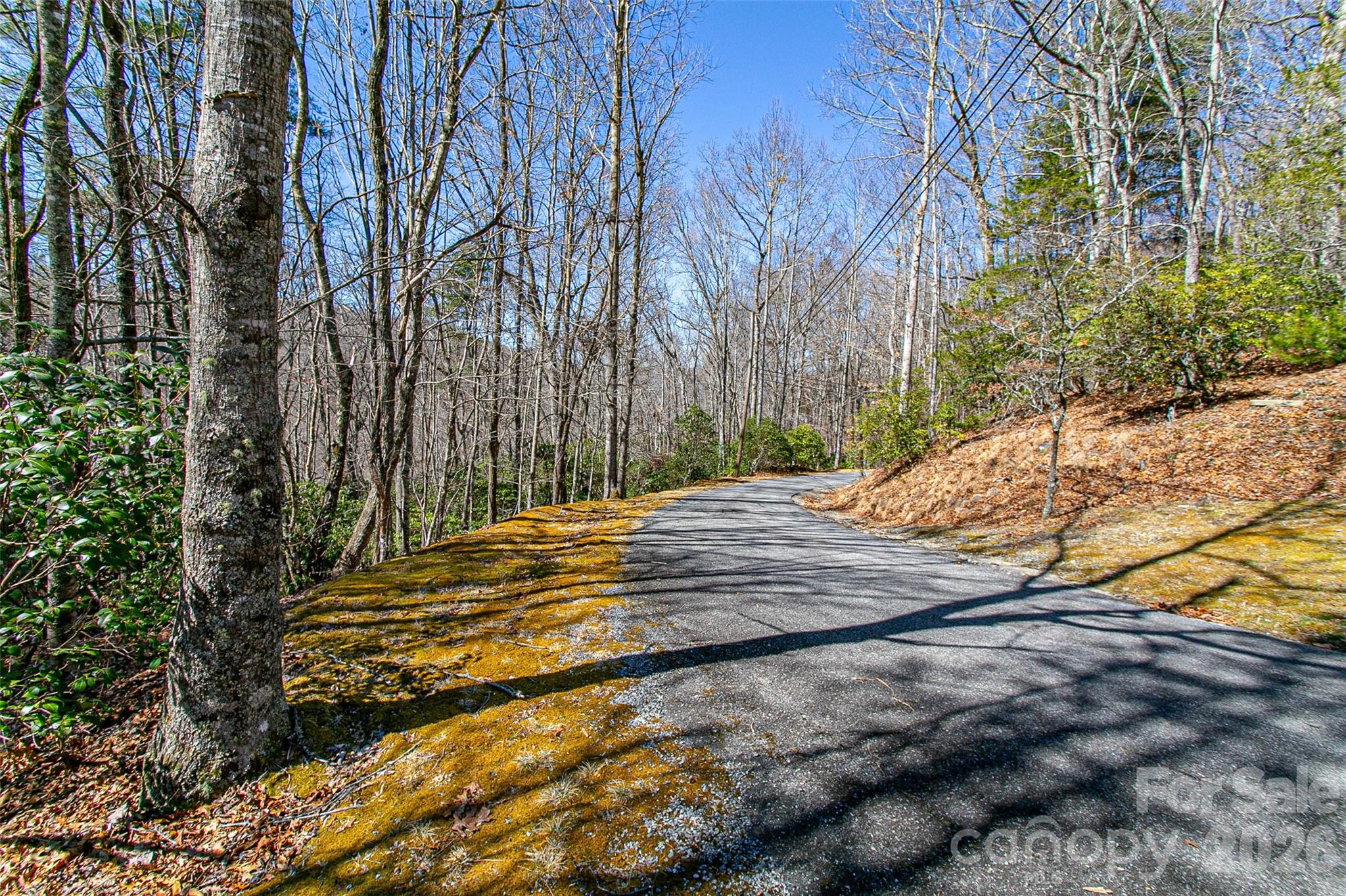 Tbd Still Branch Road L20 Property Photo 11