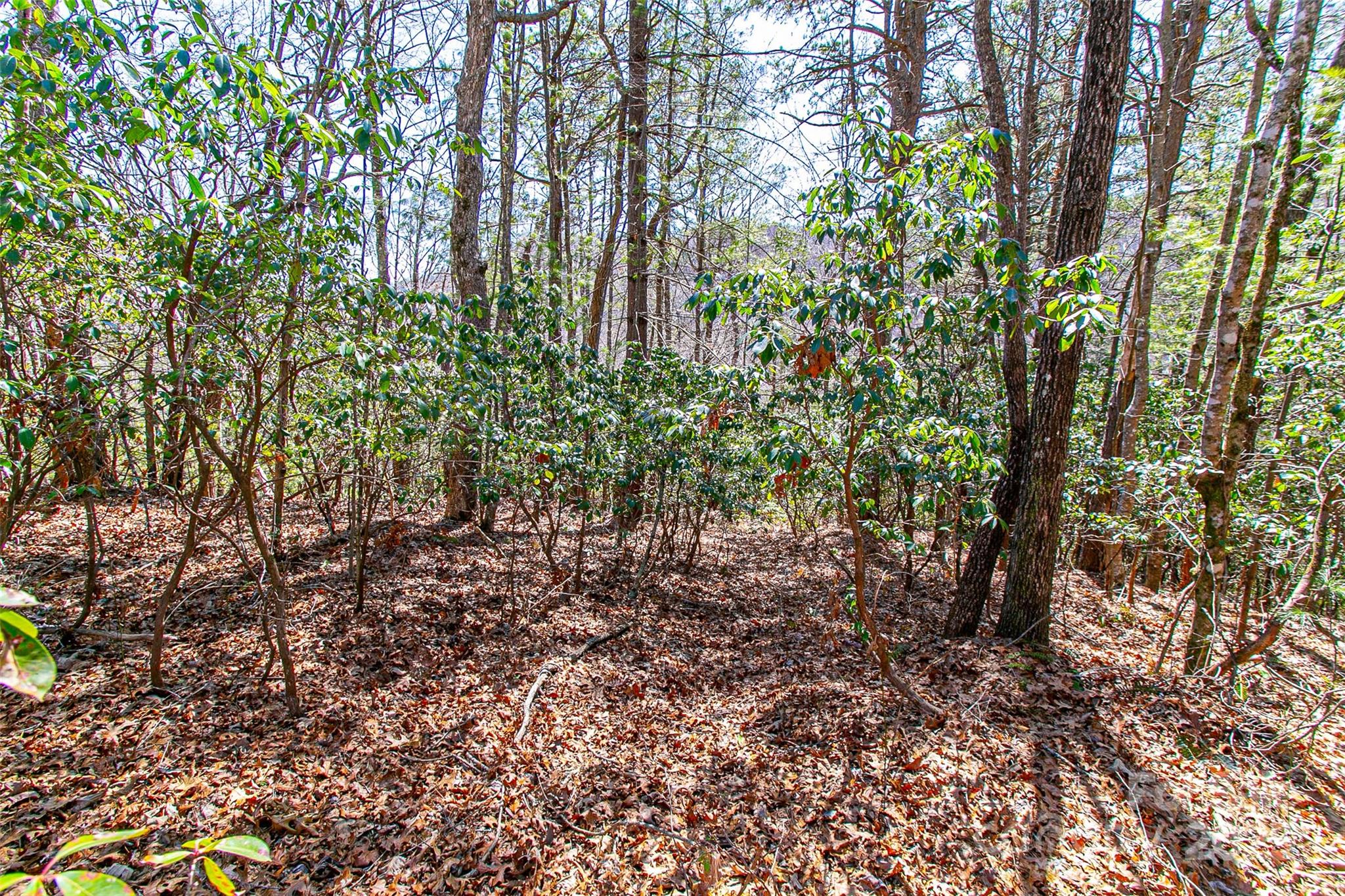 Tbd Still Branch Road L20 Property Photo 12
