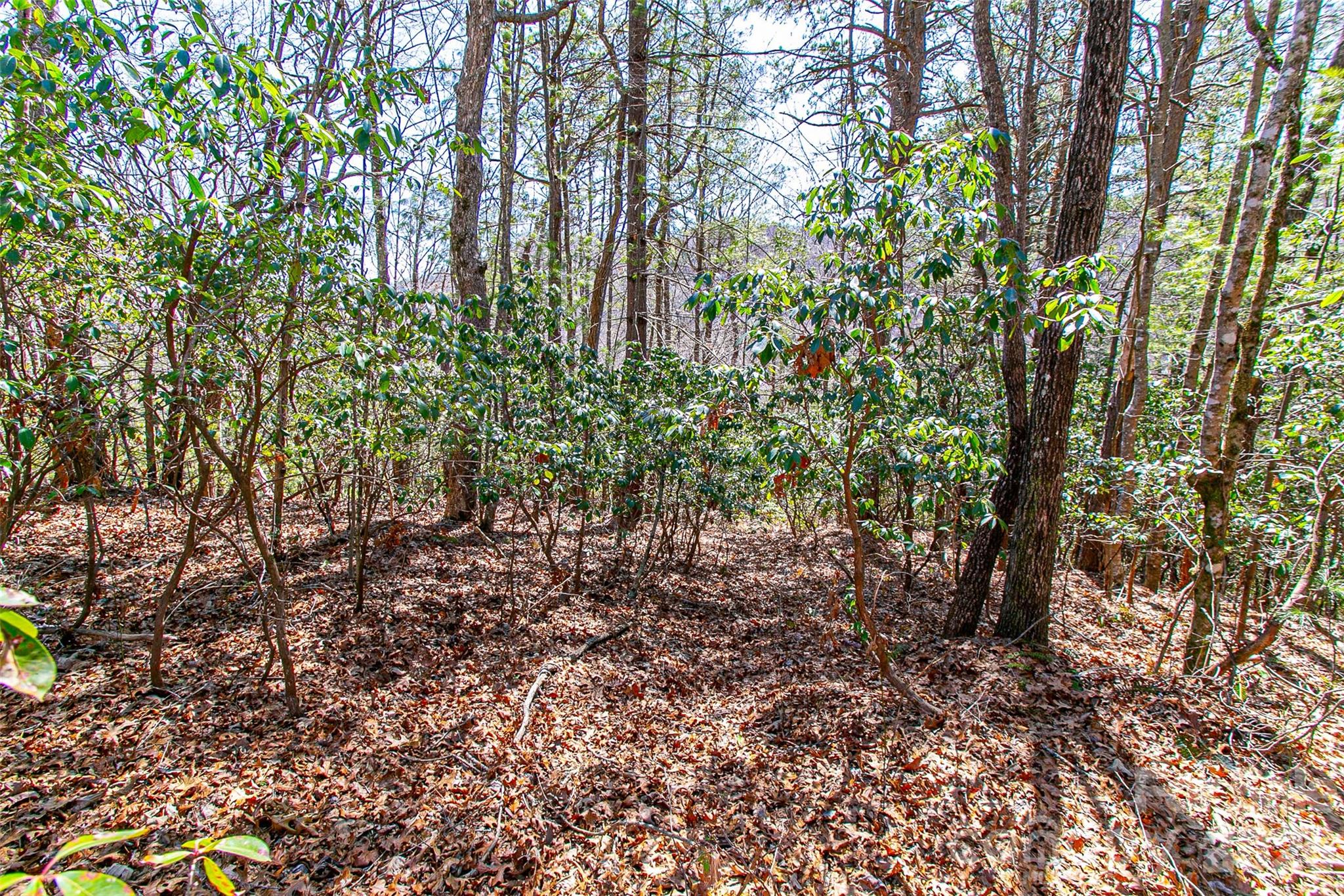 Tbd Still Branch Road L20 Property Photo 12