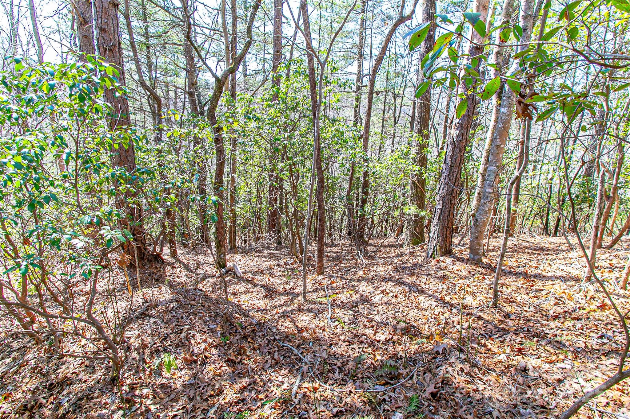 Tbd Still Branch Road L20 Property Photo 13