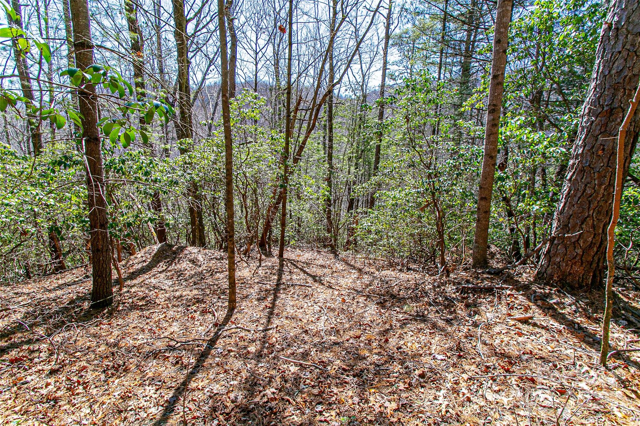 Tbd Still Branch Road L20 Property Photo 14