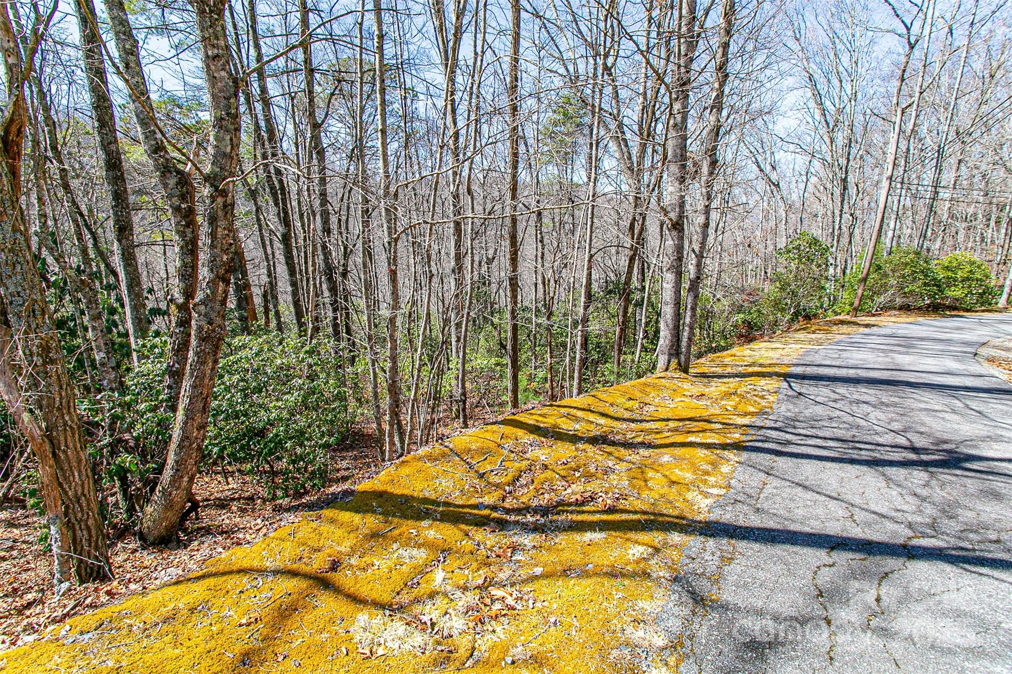 Tbd Still Branch Road L20 Property Photo 15