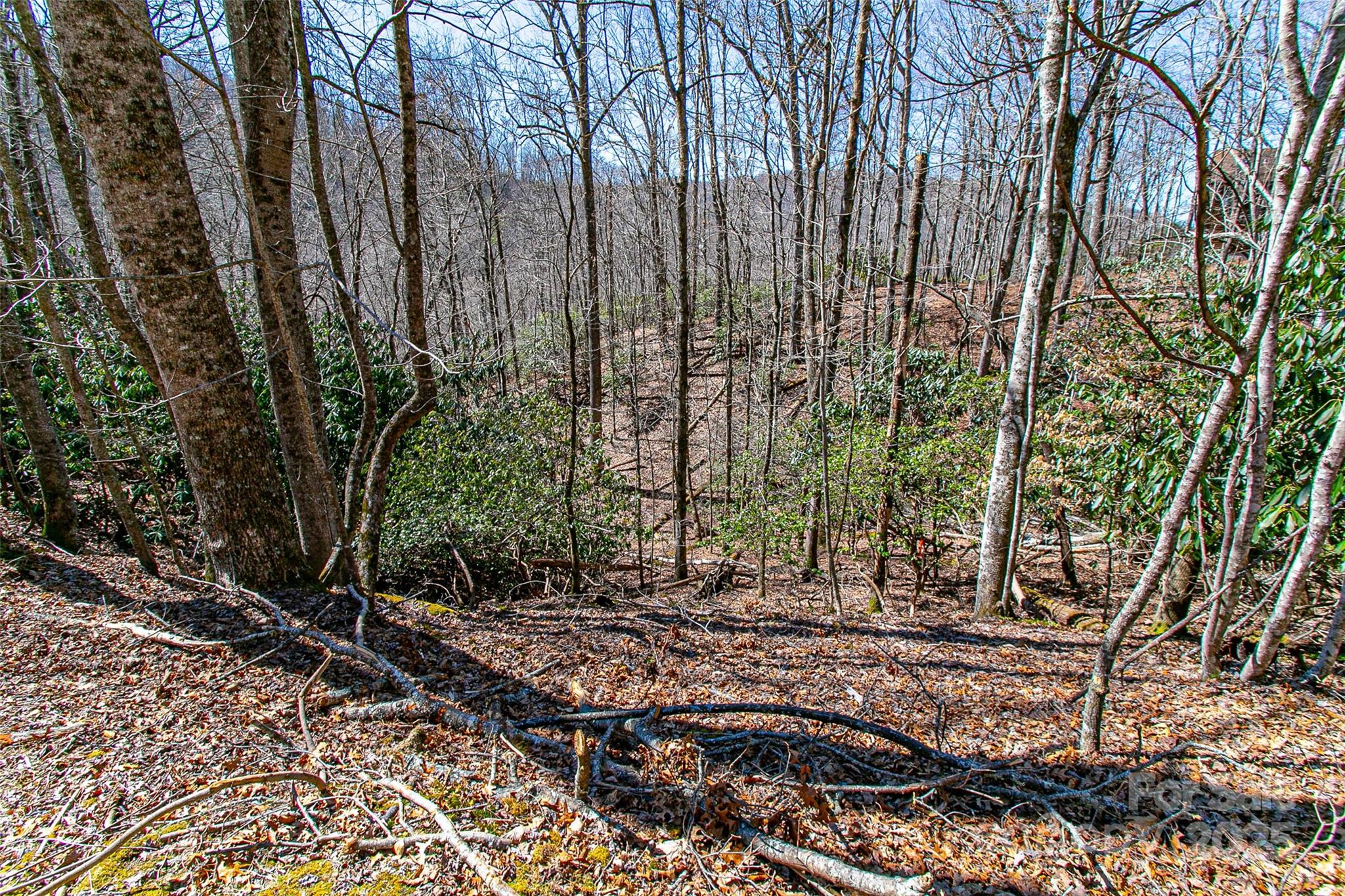 Tbd Still Branch Road L20 Property Photo 17