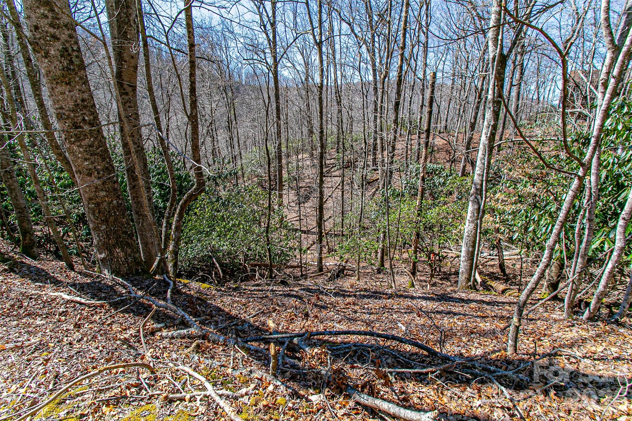 Tbd Still Branch Road L20 Property Photo 17