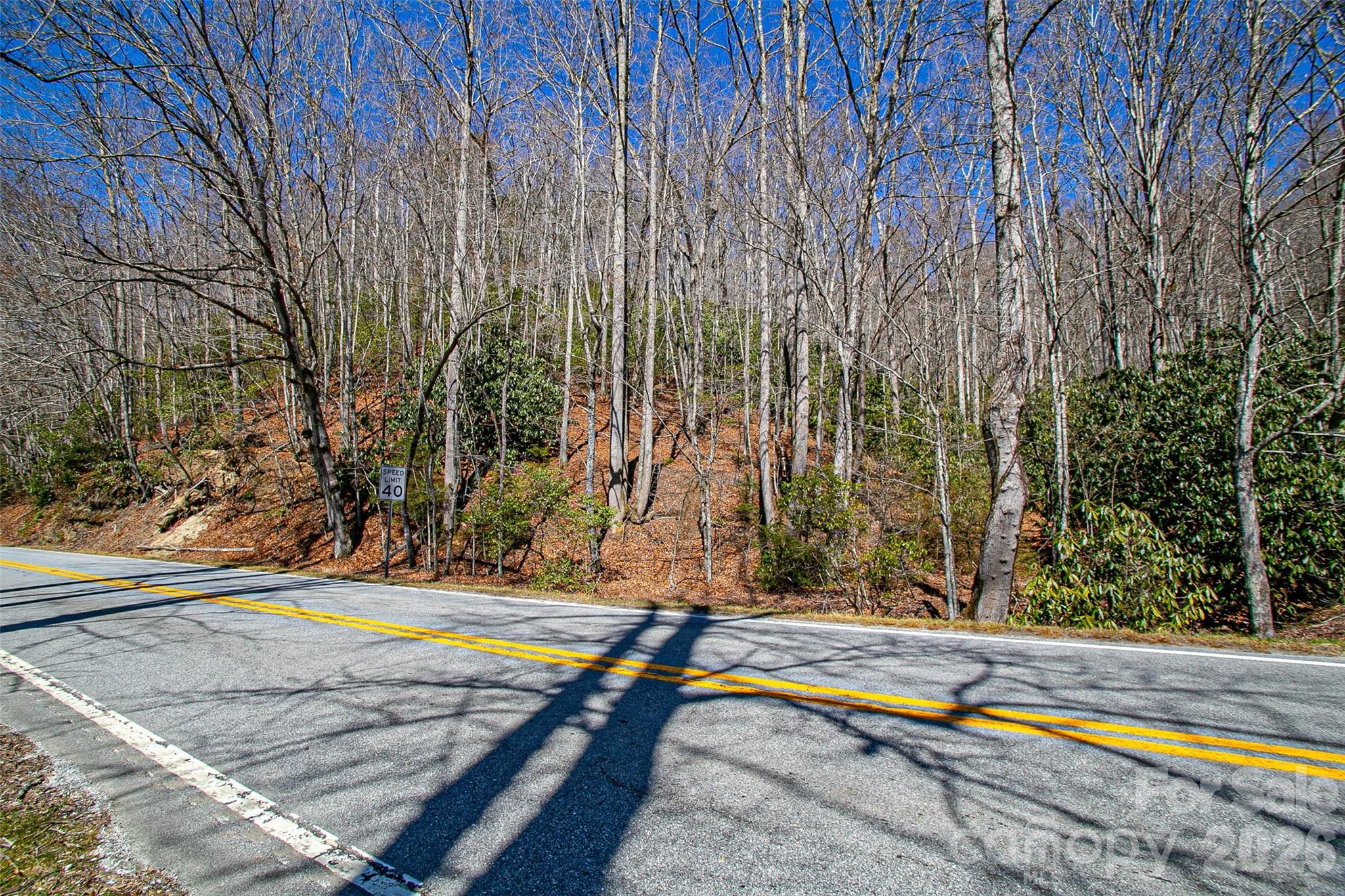 Tbd Still Branch Road L20 Property Photo 22