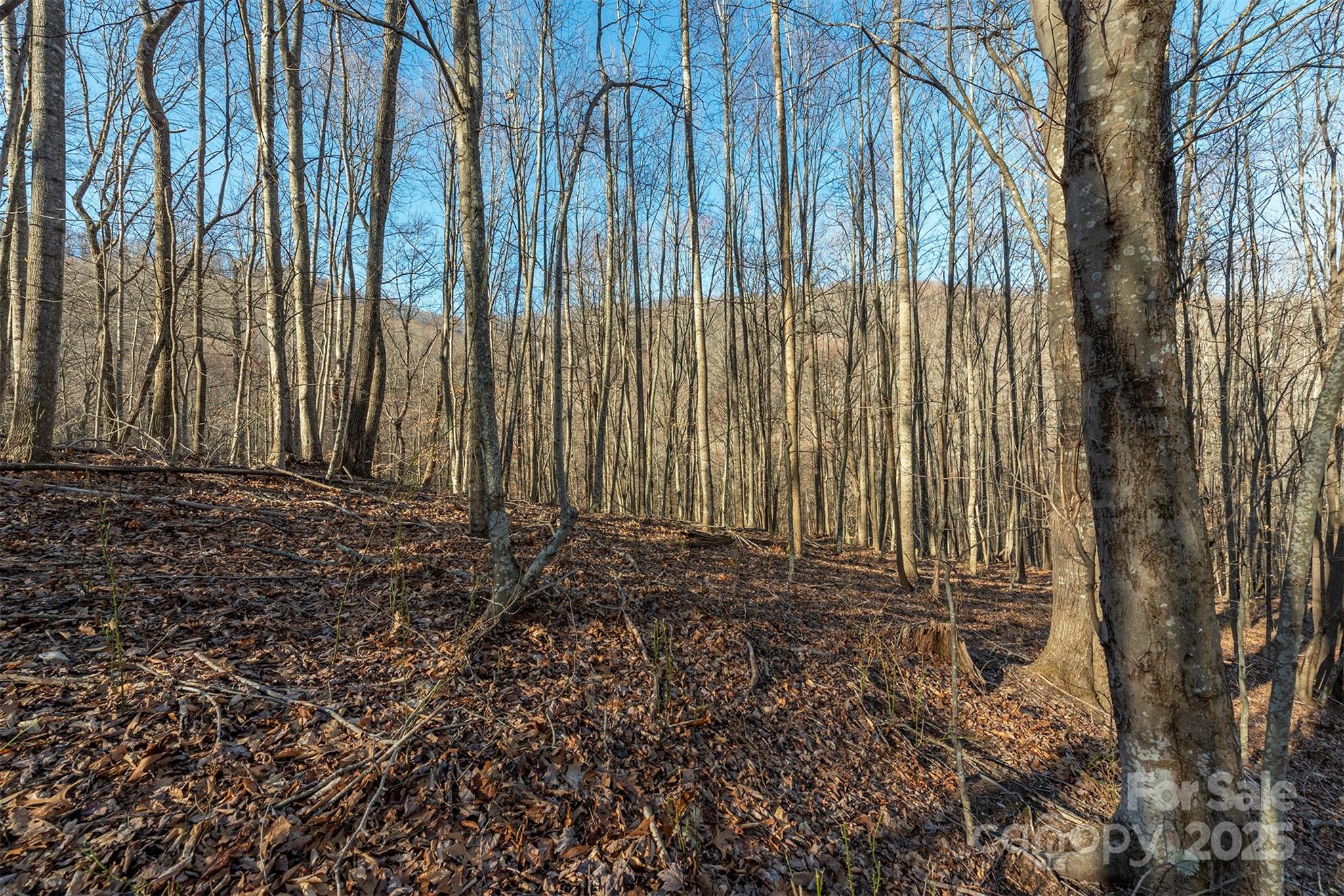 885 Stoney Stream Lane Property Photo