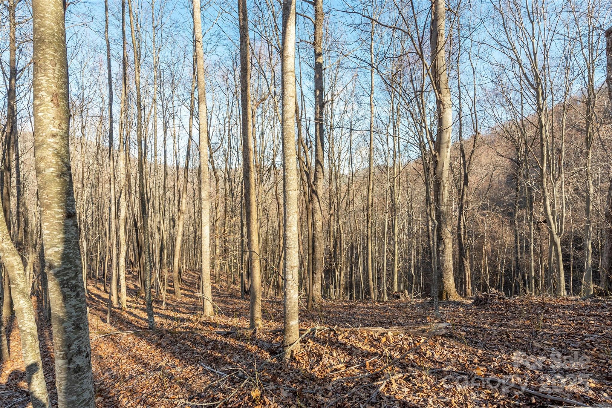 885 Stoney Stream Lane Property Photo 3