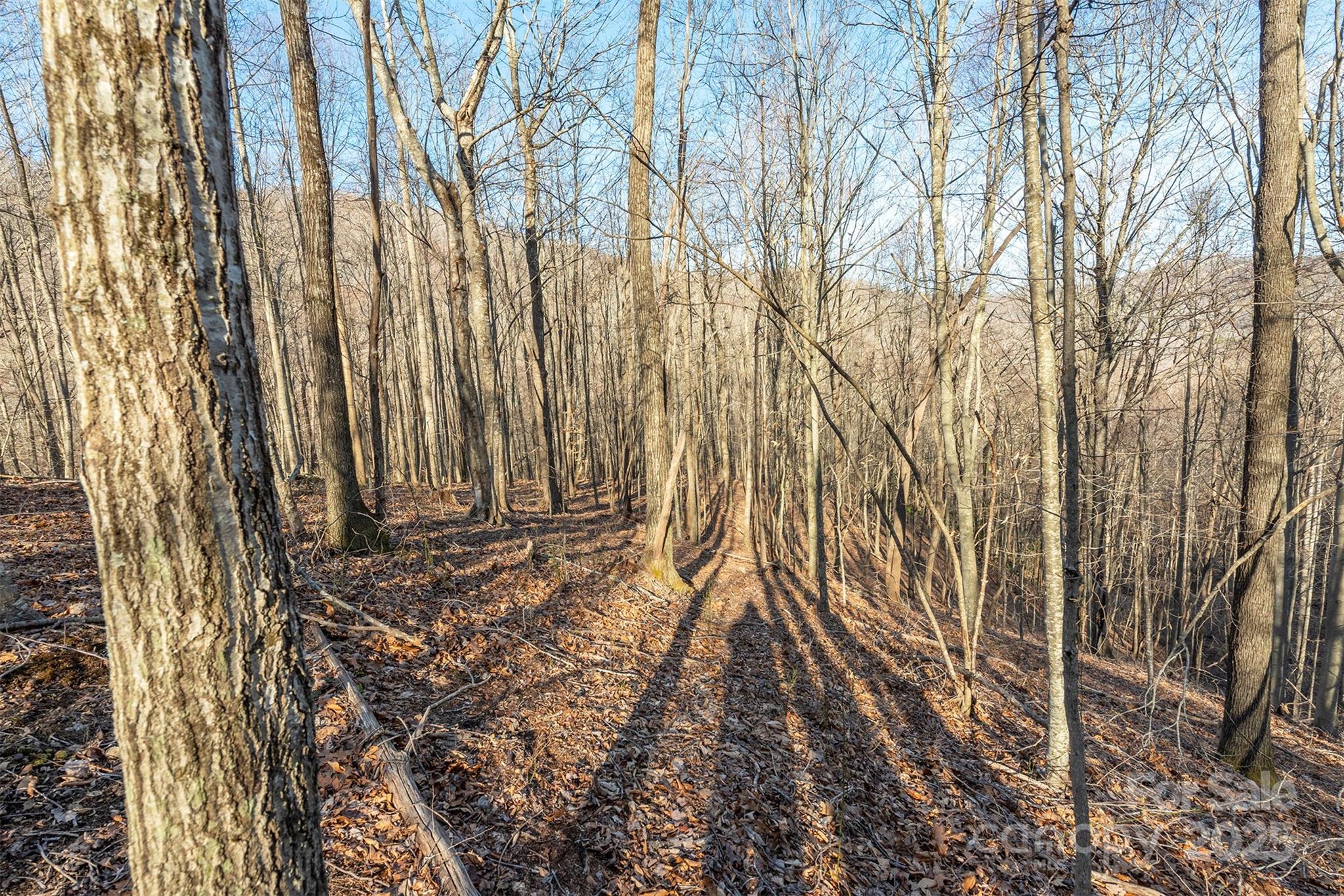 885 Stoney Stream Lane Property Photo 4