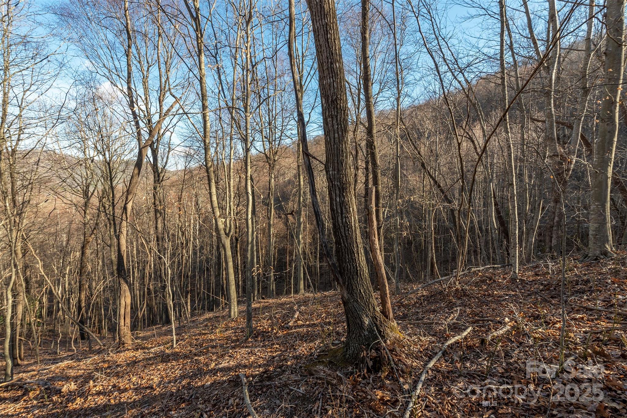 885 Stoney Stream Lane Property Photo 8