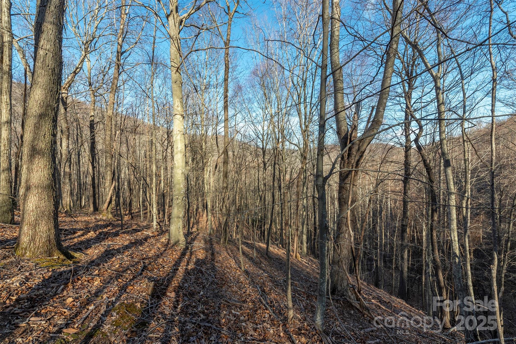 885 Stoney Stream Lane Property Photo 9