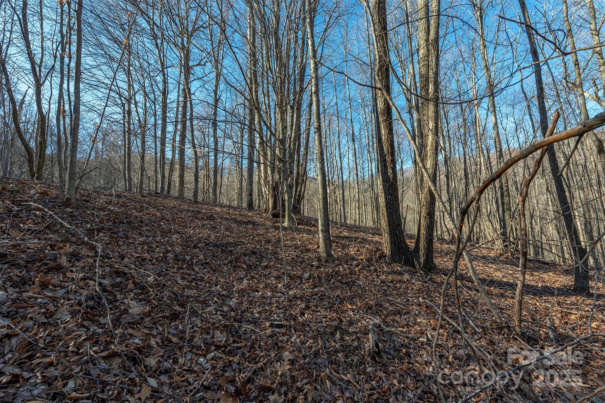 885 Stoney Stream Lane Property Photo 11