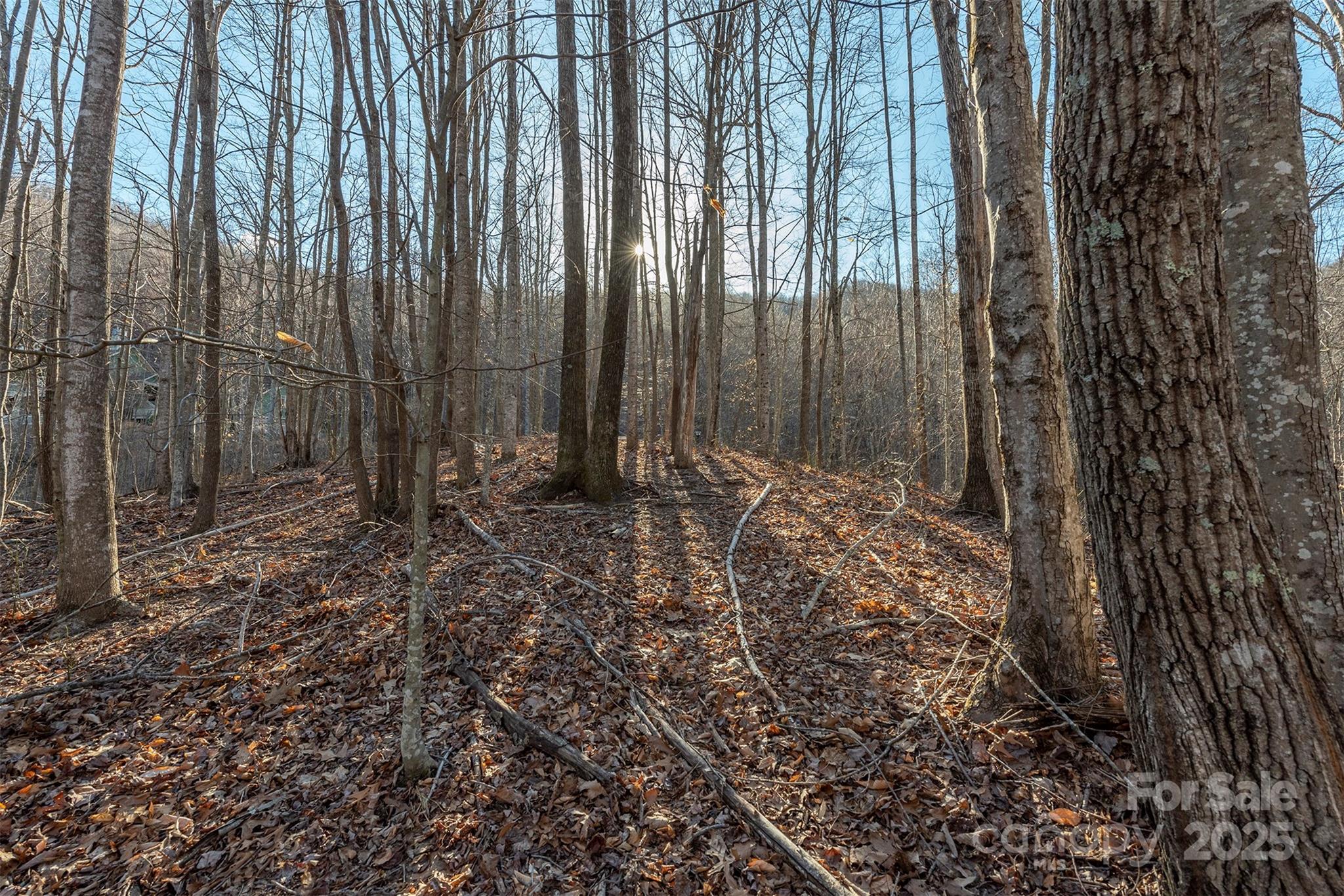 885 Stoney Stream Lane Property Photo 12