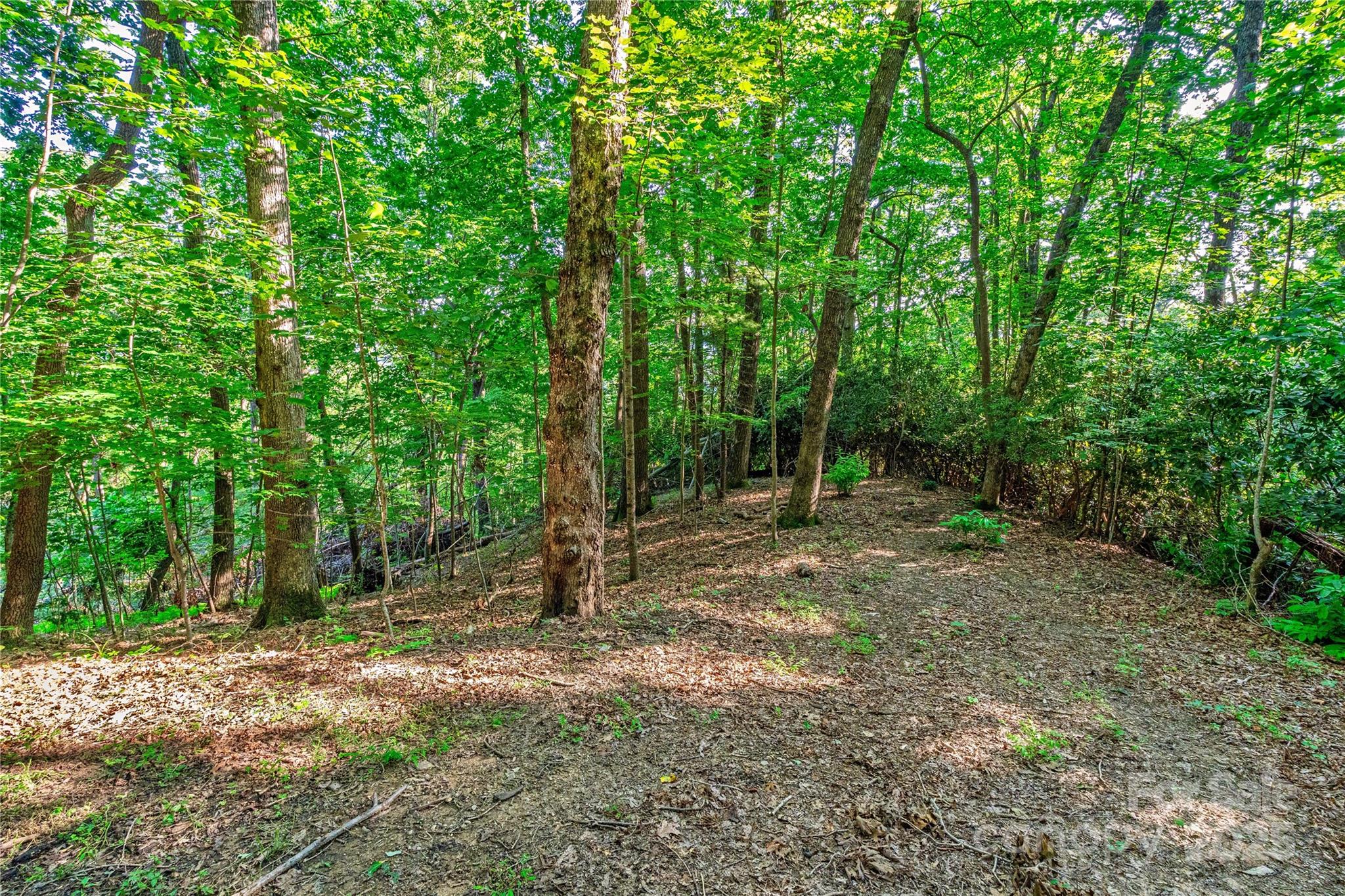 Lot W13 Curtain Bluff Property Photo 6