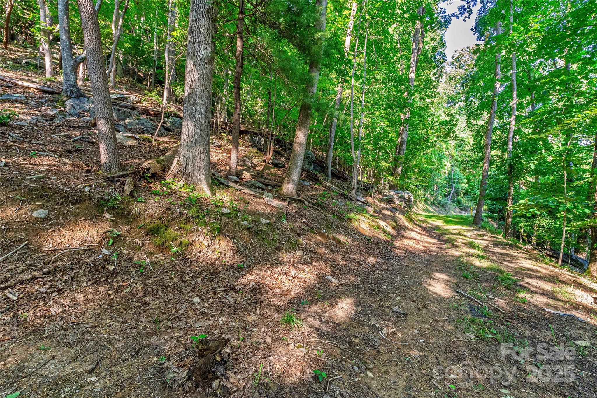 Lot W13 Curtain Bluff Property Photo 7