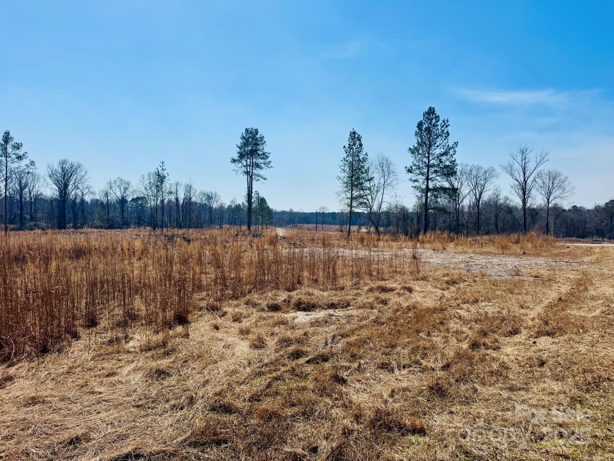 Lot 3 Woodbine Road 3 Property Photo 2