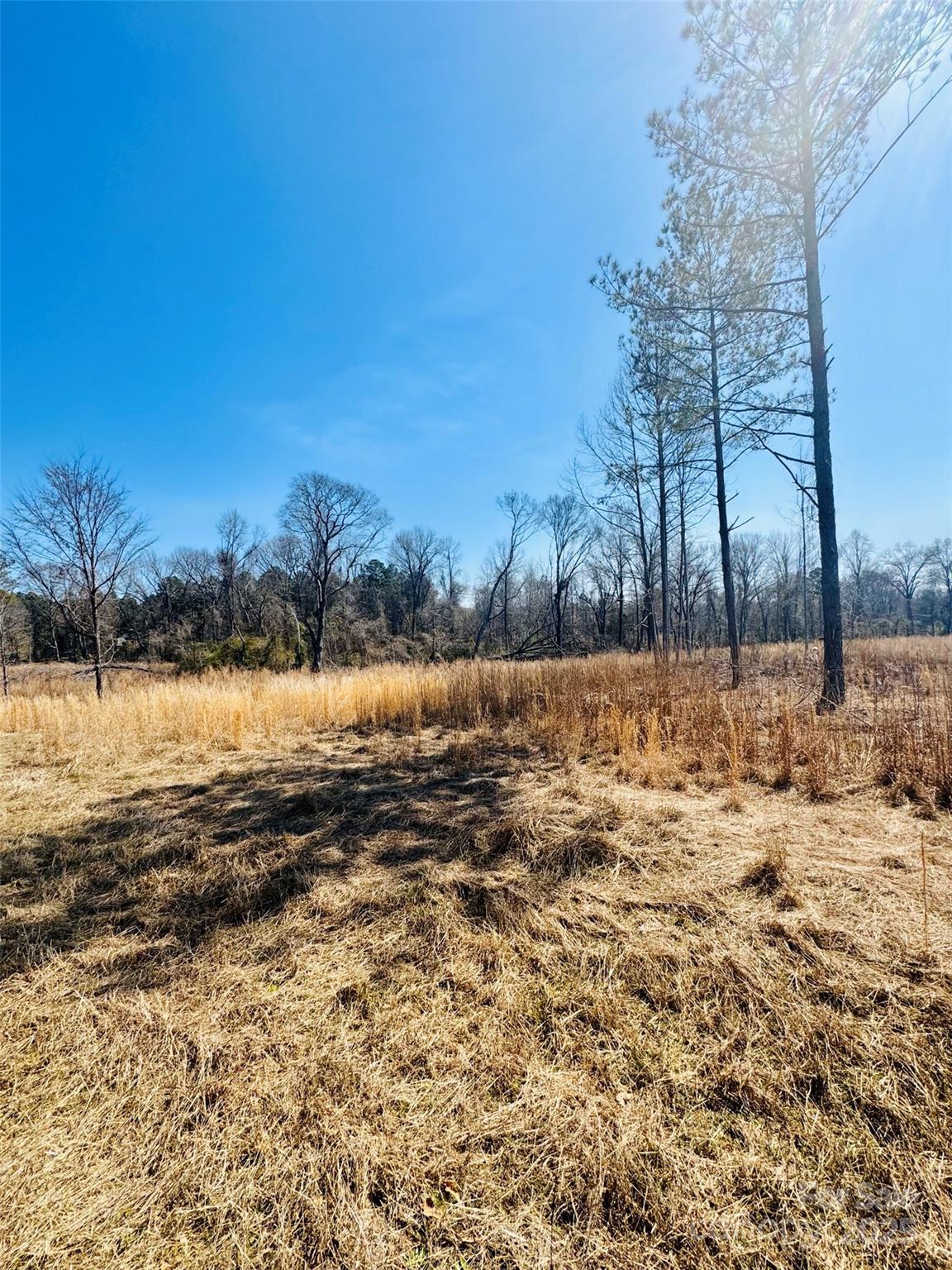 Lot 3 Woodbine Road 3 Property Photo 3