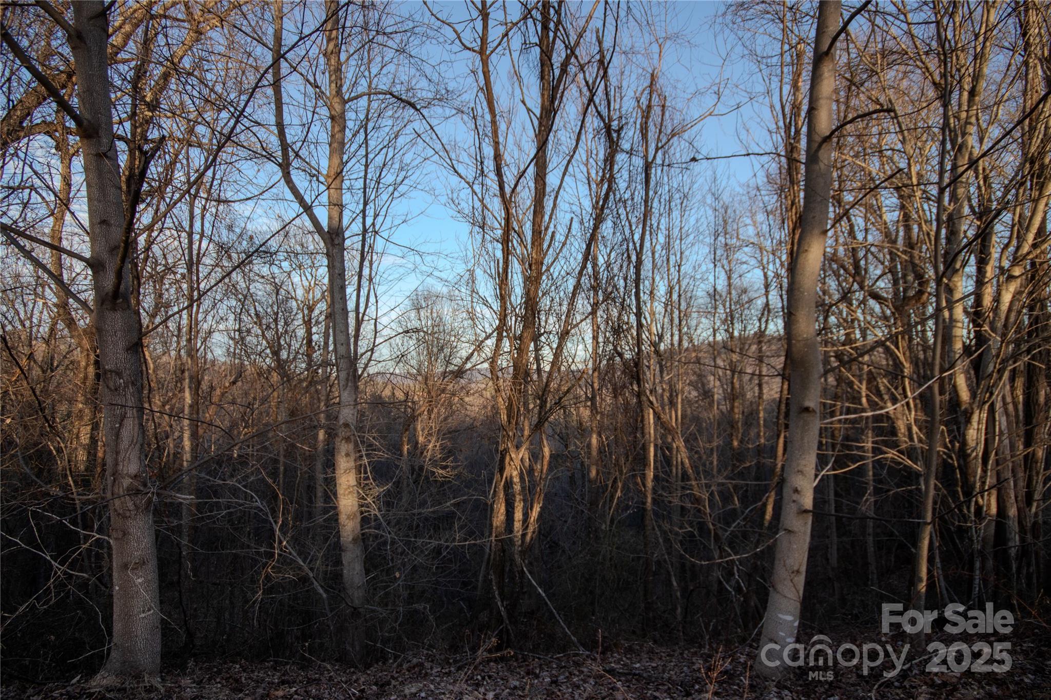 Lot# 22 Autumn Ridge 22 Property Photo 1