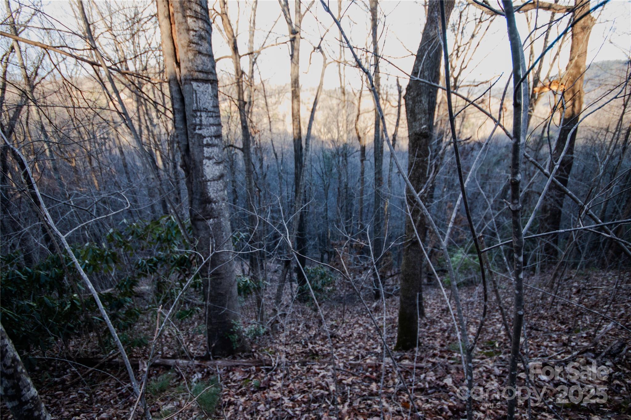 Lot# 22 Autumn Ridge 22 Property Photo 2