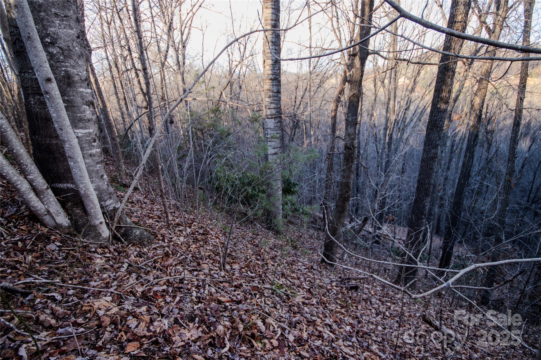 Lot# 22 Autumn Ridge 22 Property Photo 3