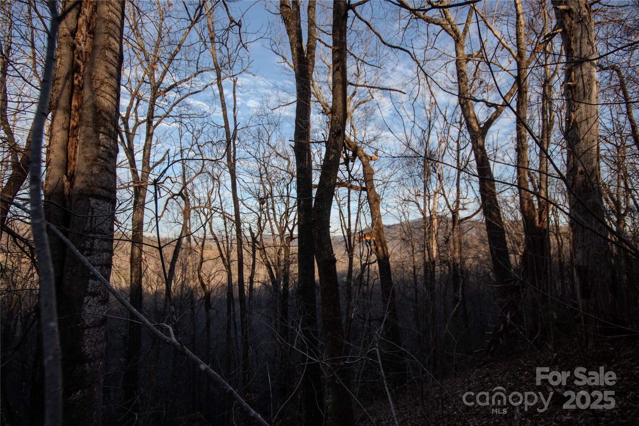 Lot# 22 Autumn Ridge 22 Property Photo 4
