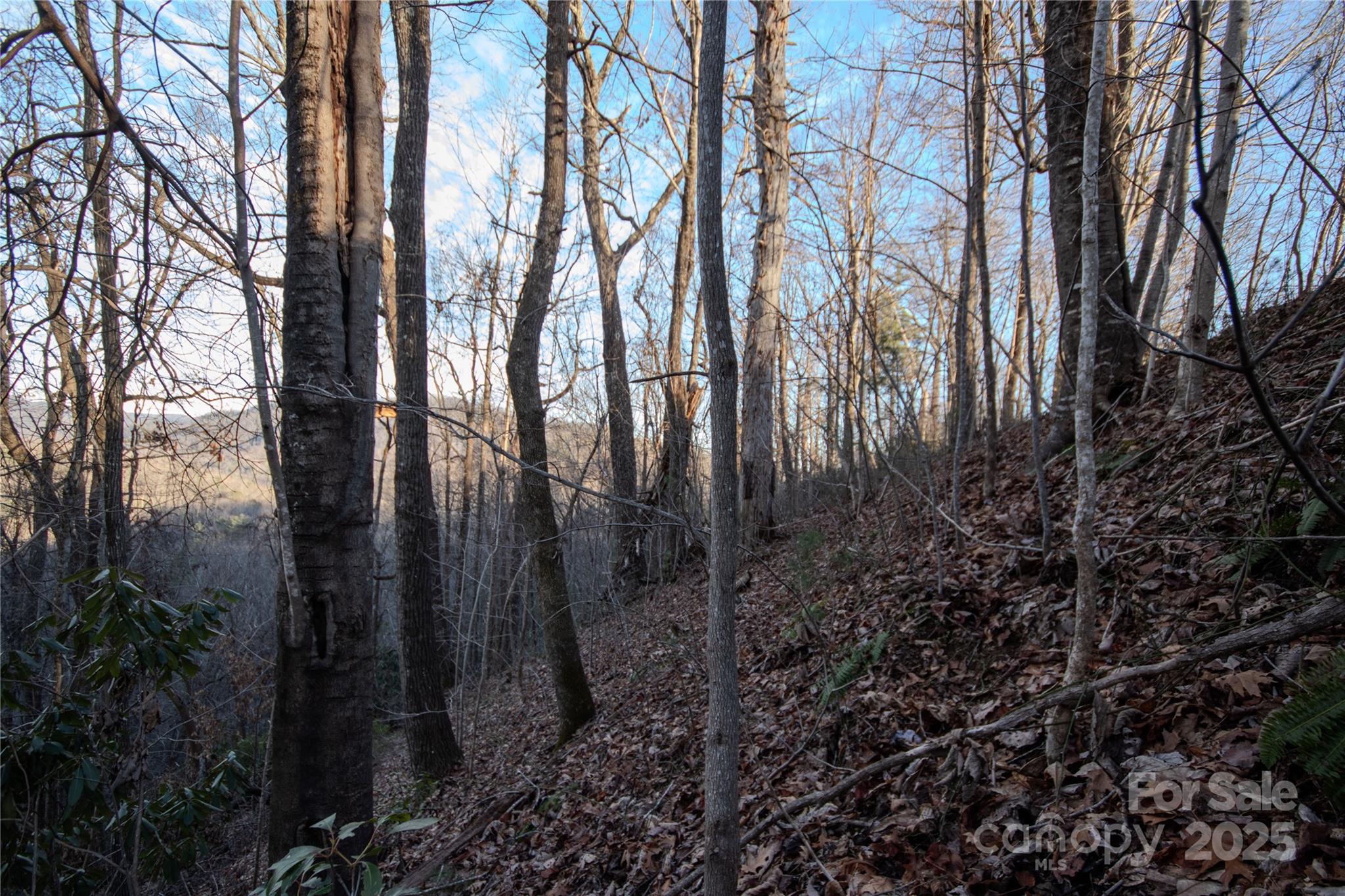Lot# 22 Autumn Ridge 22 Property Photo 5