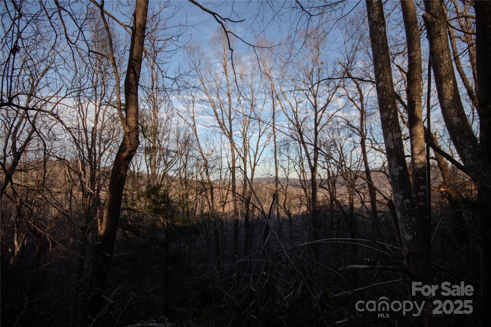 Lot# 22 Autumn Ridge 22 Property Photo 6