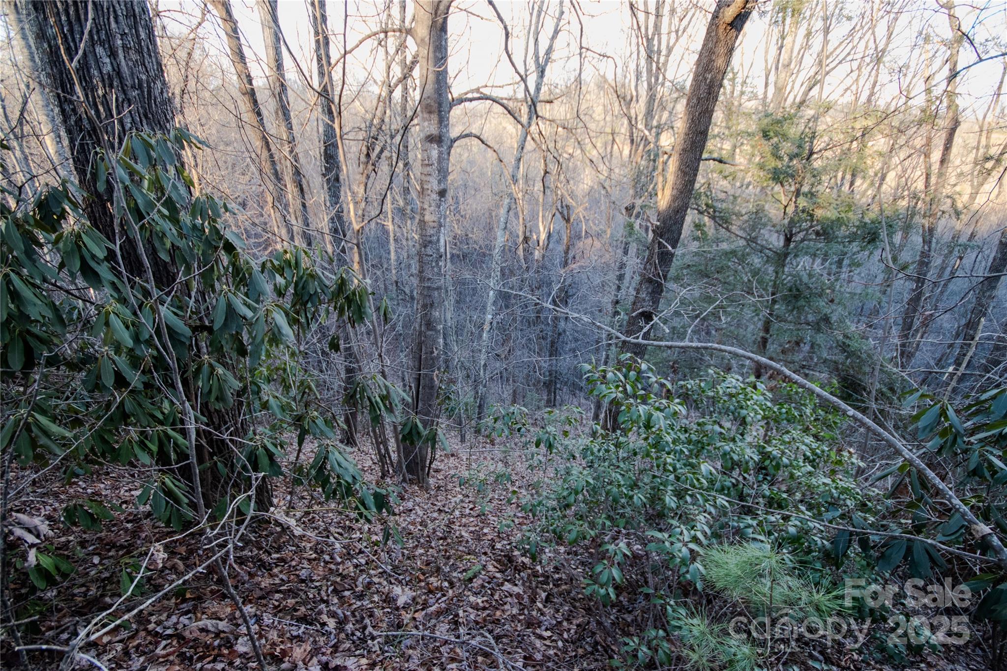 Lot# 22 Autumn Ridge 22 Property Photo 7