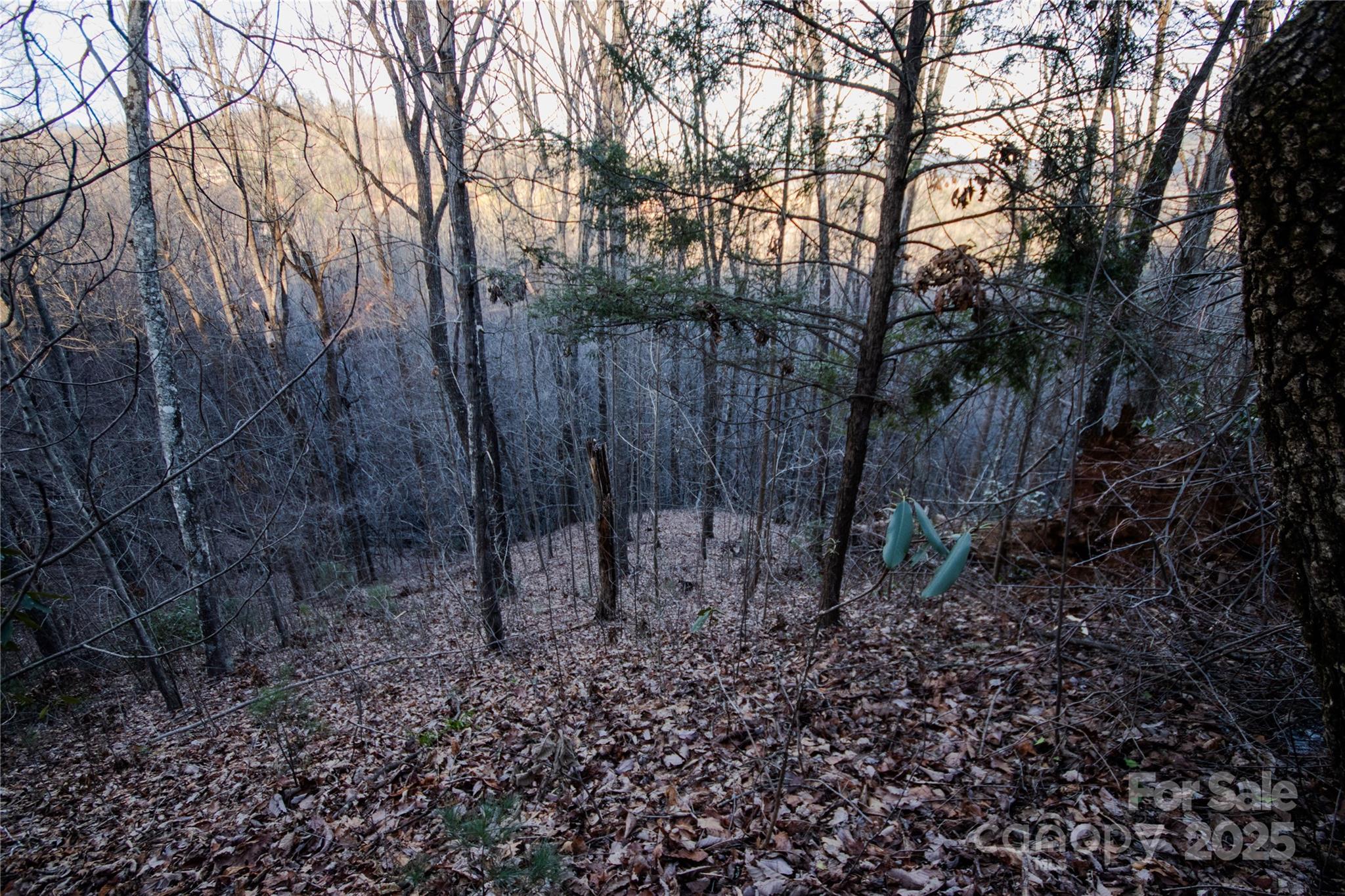 Lot# 22 Autumn Ridge 22 Property Photo 8