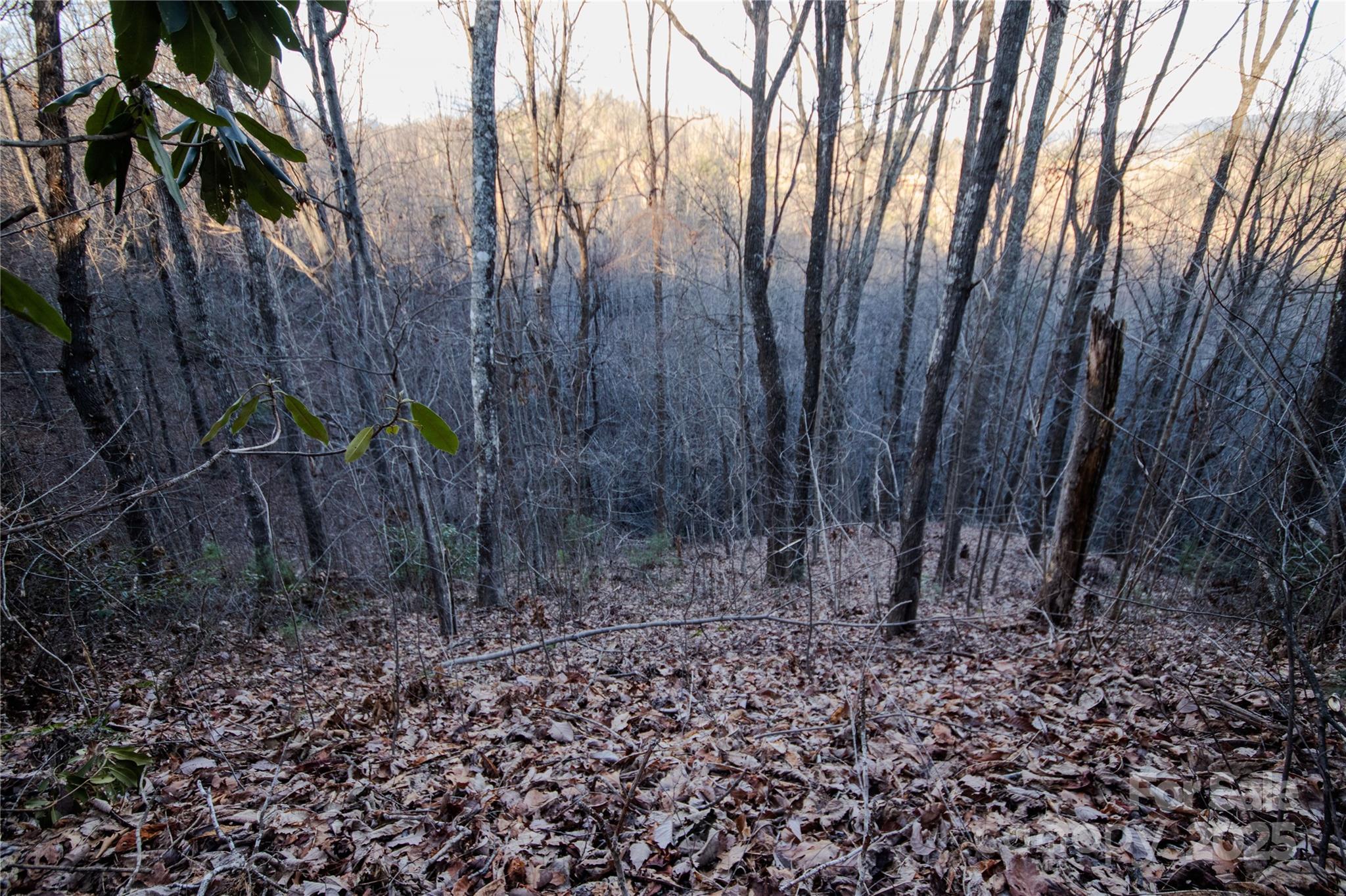Lot# 22 Autumn Ridge 22 Property Photo 9