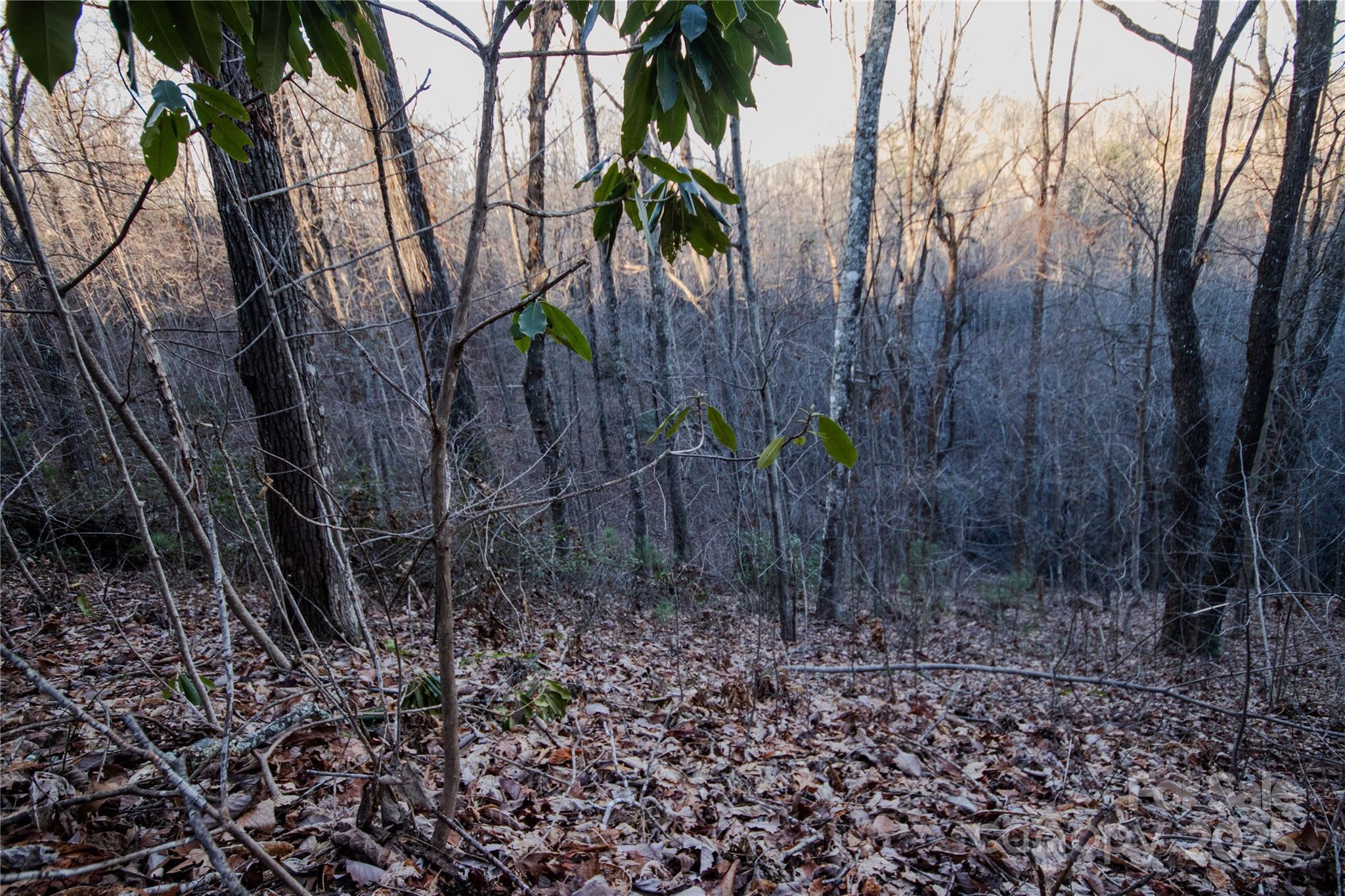Lot# 22 Autumn Ridge 22 Property Photo 10