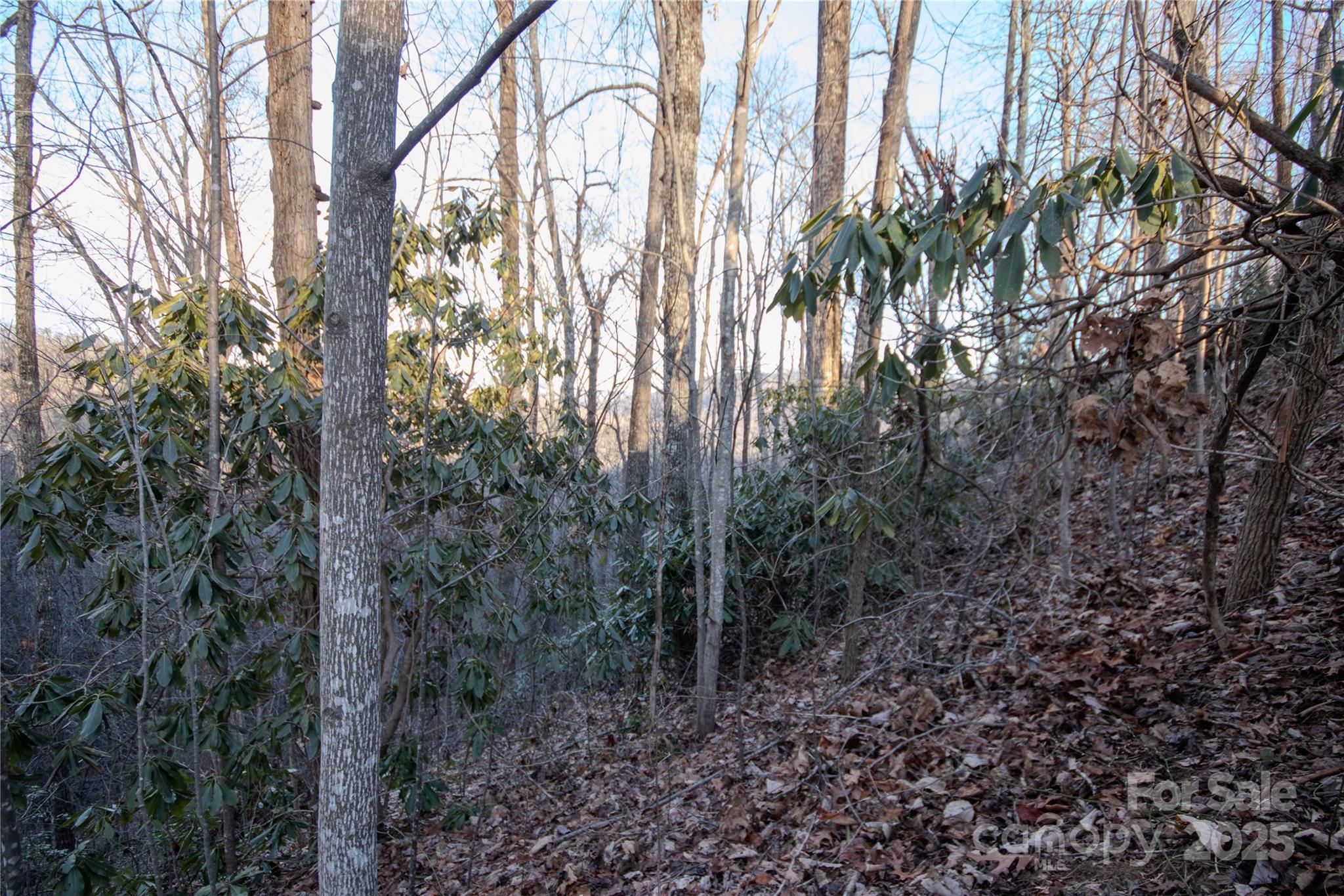 Lot# 22 Autumn Ridge 22 Property Photo 11