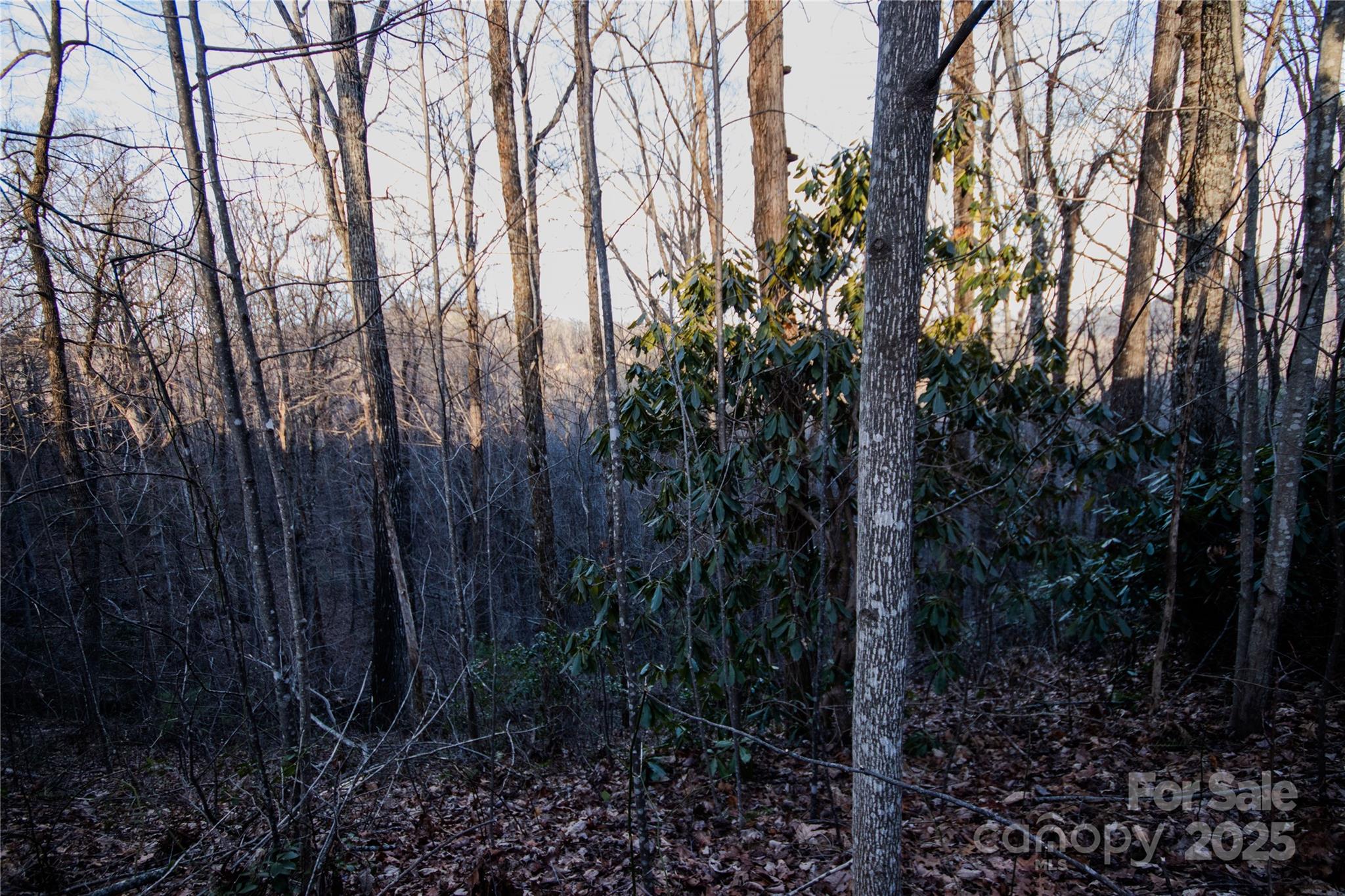 Lot# 22 Autumn Ridge 22 Property Photo 12