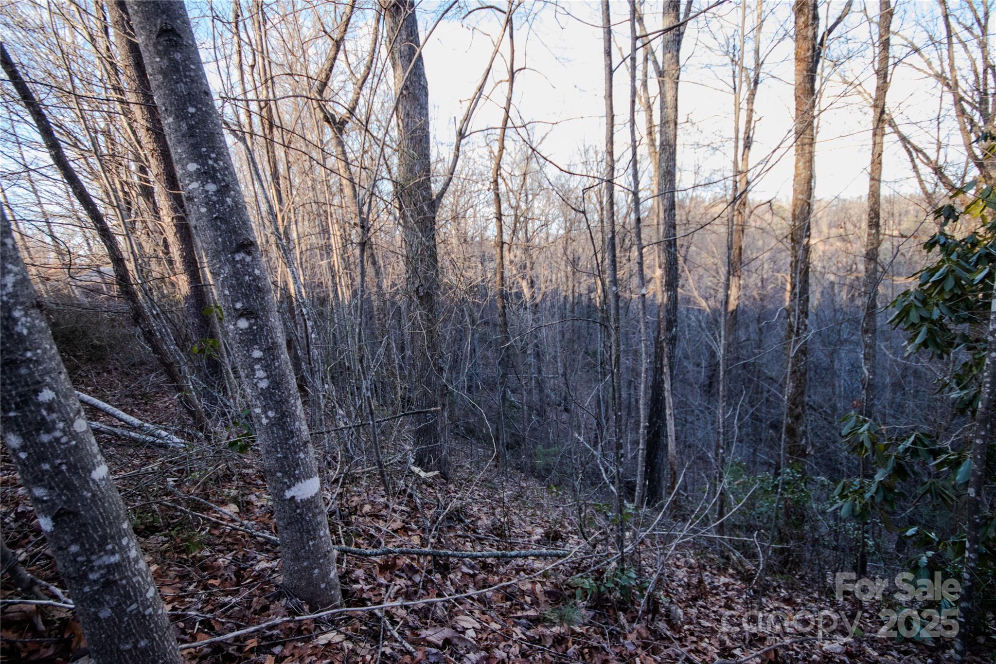 Lot# 22 Autumn Ridge 22 Property Photo 13