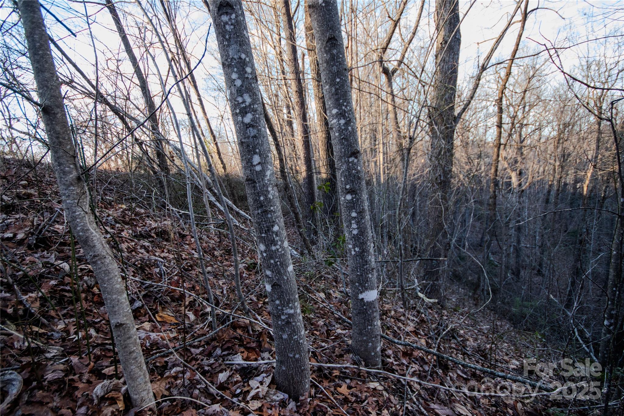 Lot# 22 Autumn Ridge 22 Property Photo 14