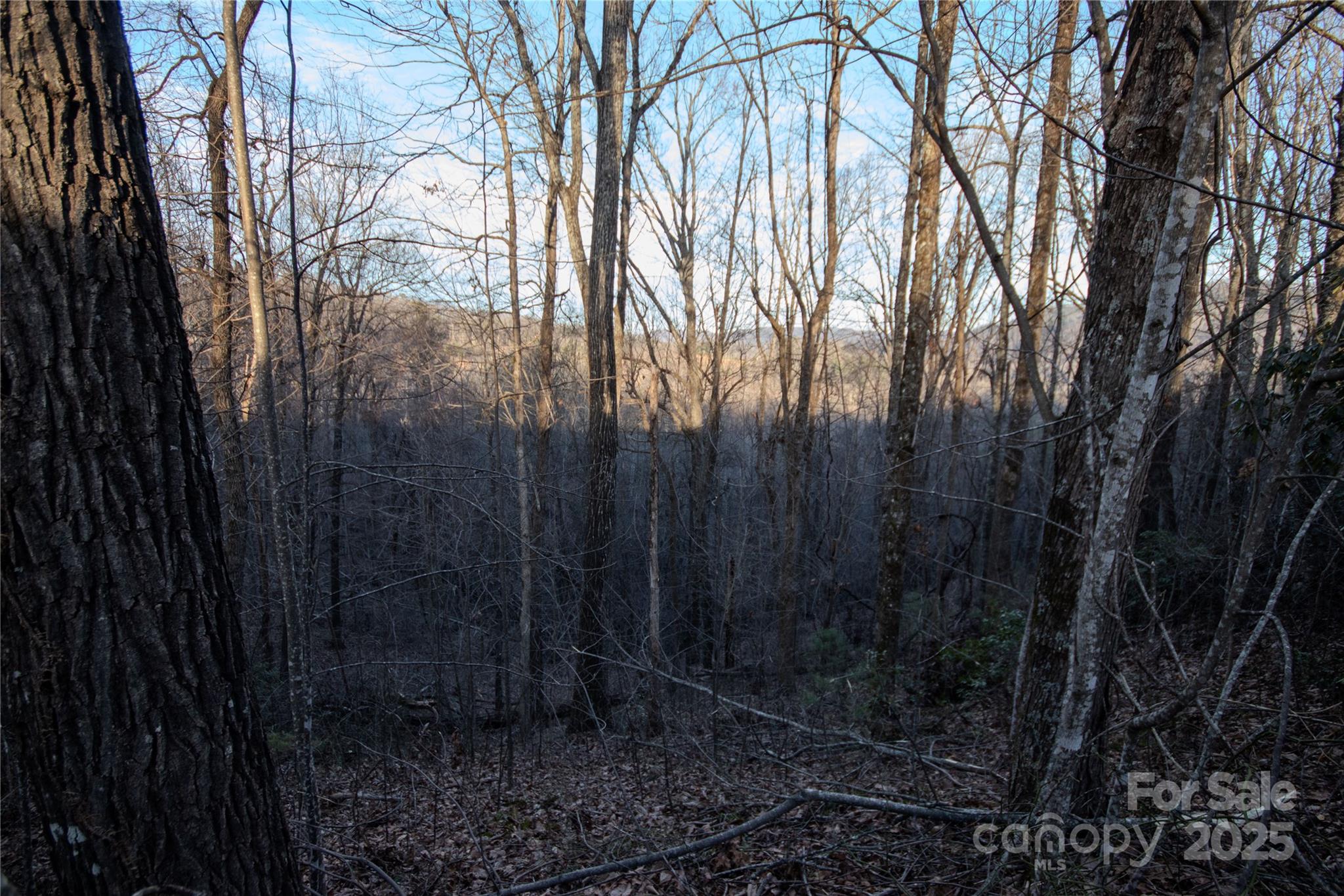 Lot# 22 Autumn Ridge 22 Property Photo 15