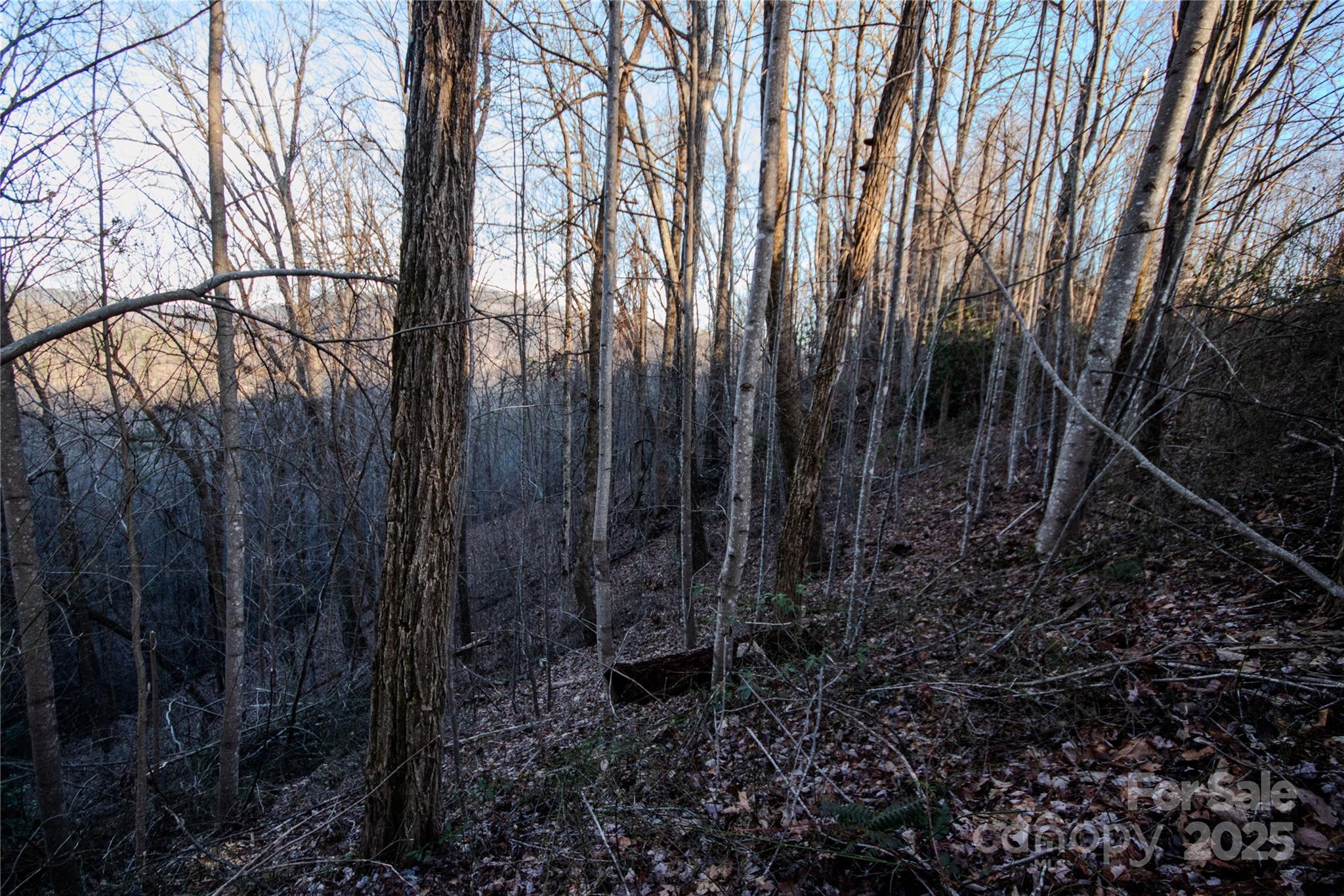 Lot# 22 Autumn Ridge 22 Property Photo 16