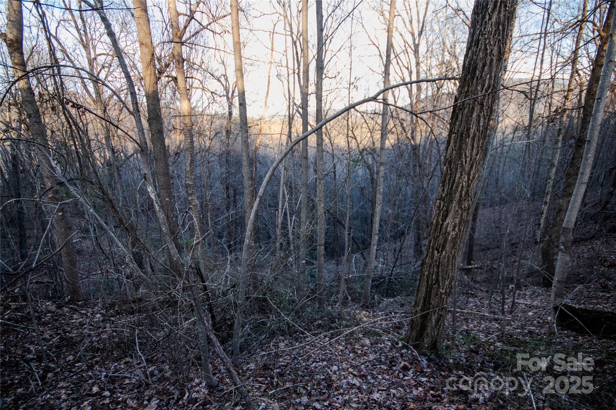 Lot# 22 Autumn Ridge 22 Property Photo 17