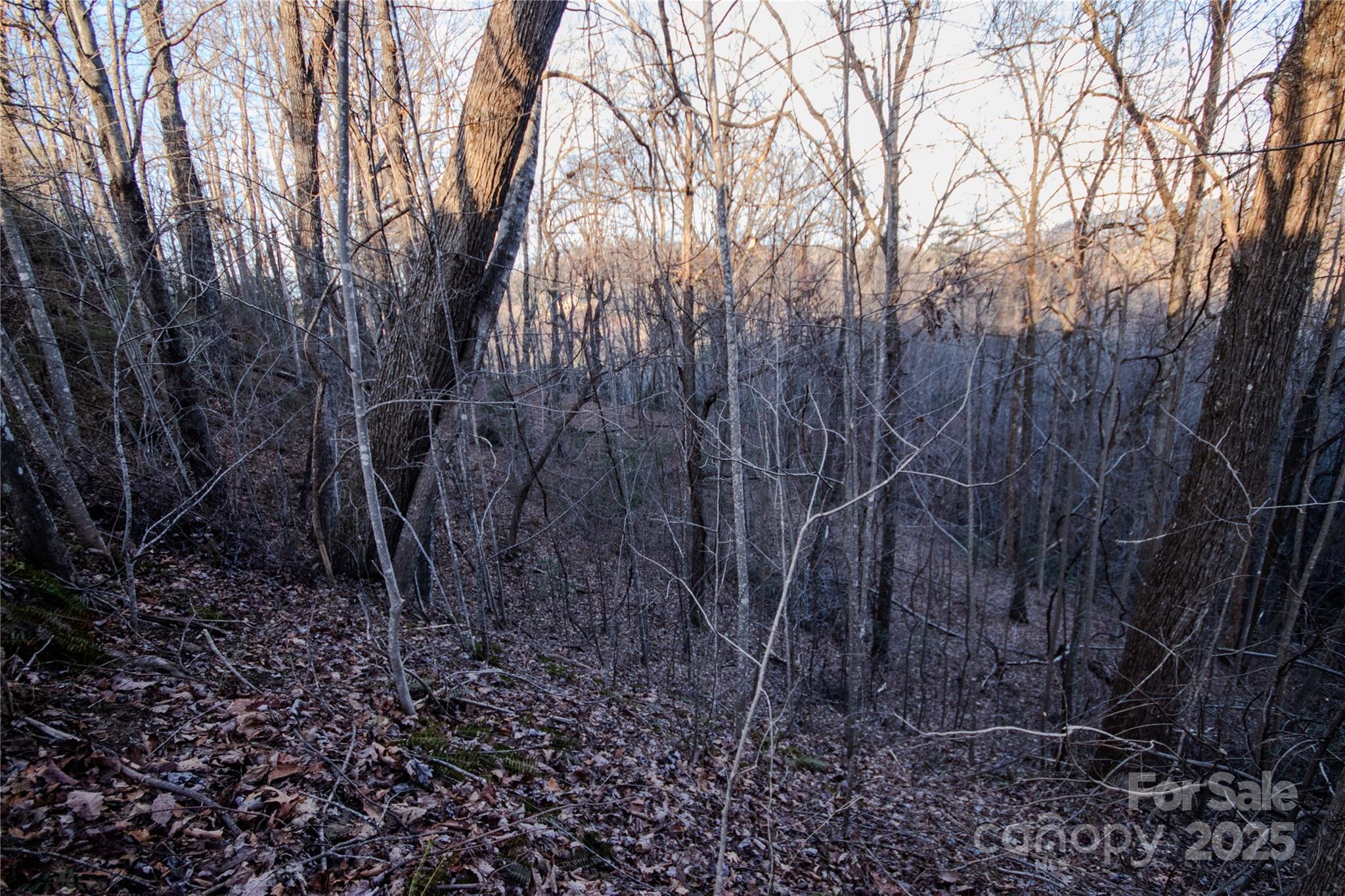 Lot# 22 Autumn Ridge 22 Property Photo 18