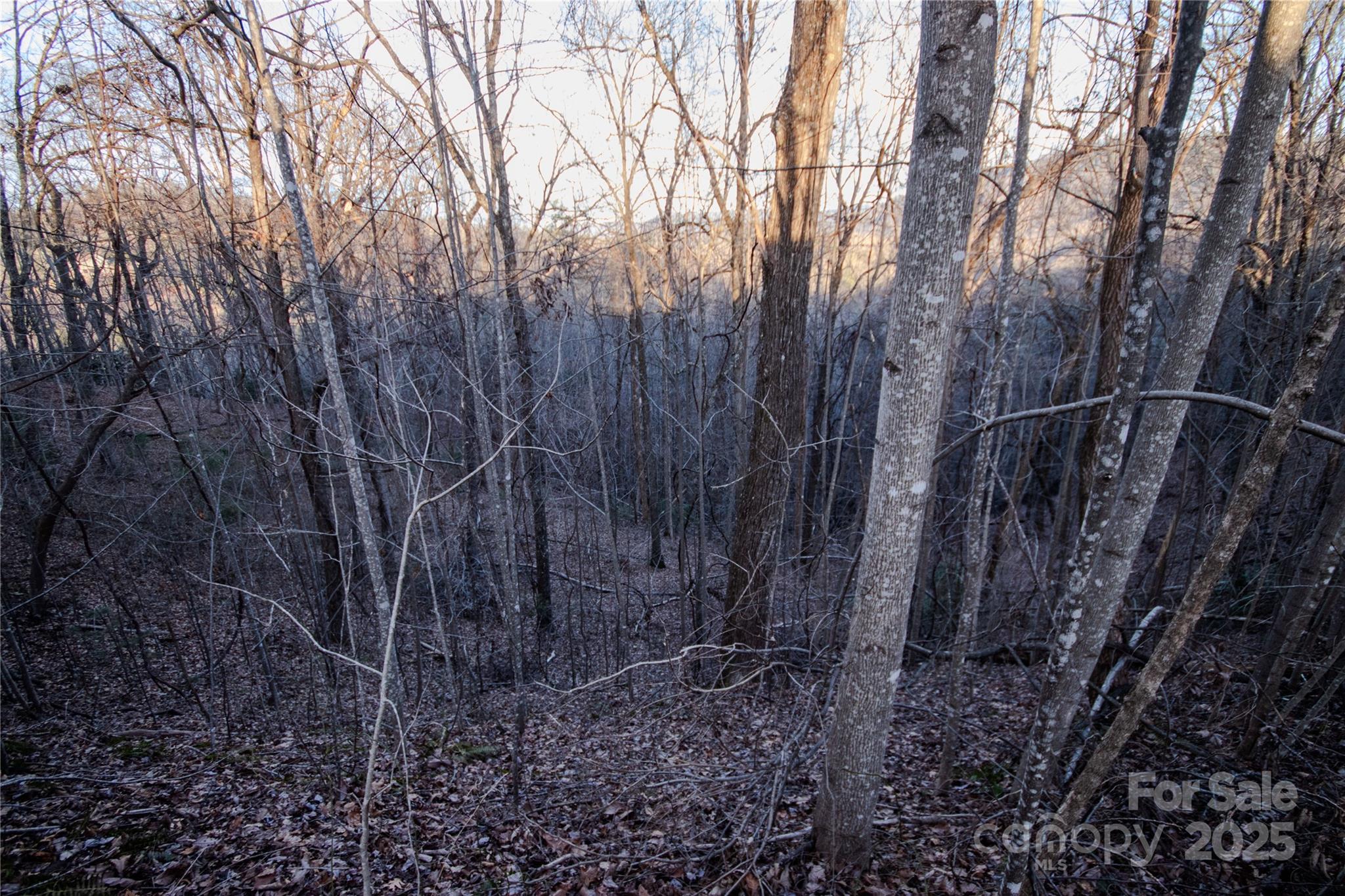Lot# 22 Autumn Ridge 22 Property Photo 19
